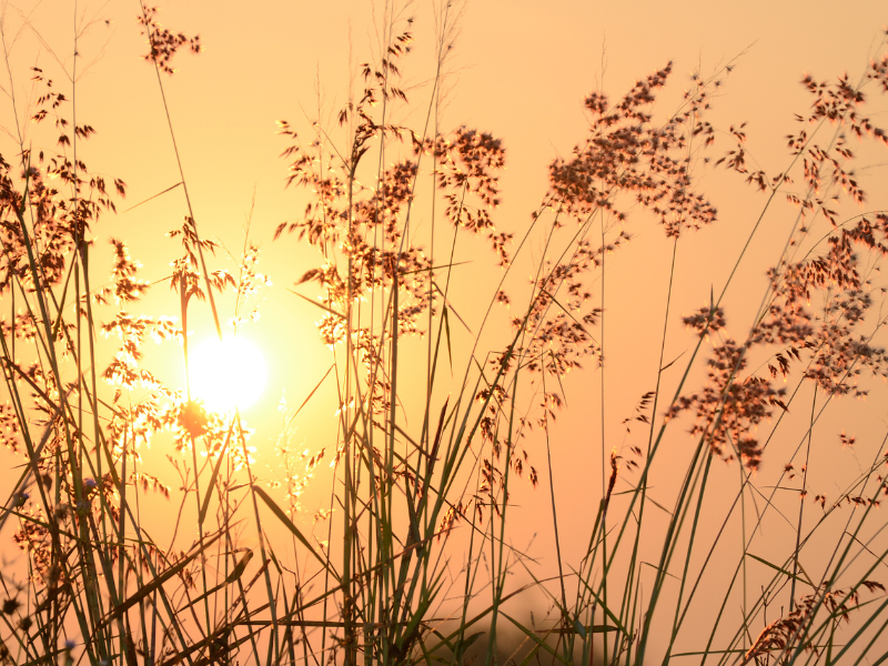 Julia Kyambi bridges science and spirit.png
