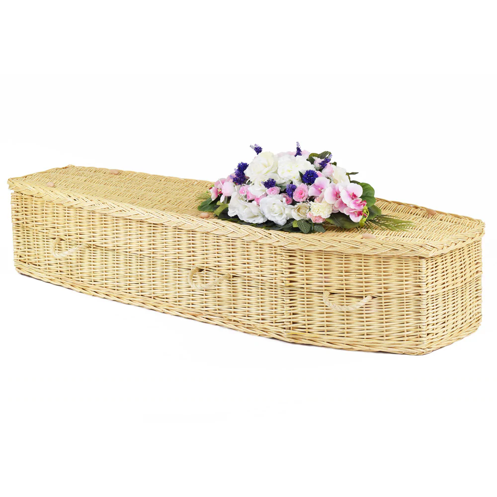 Light Eco Traditional