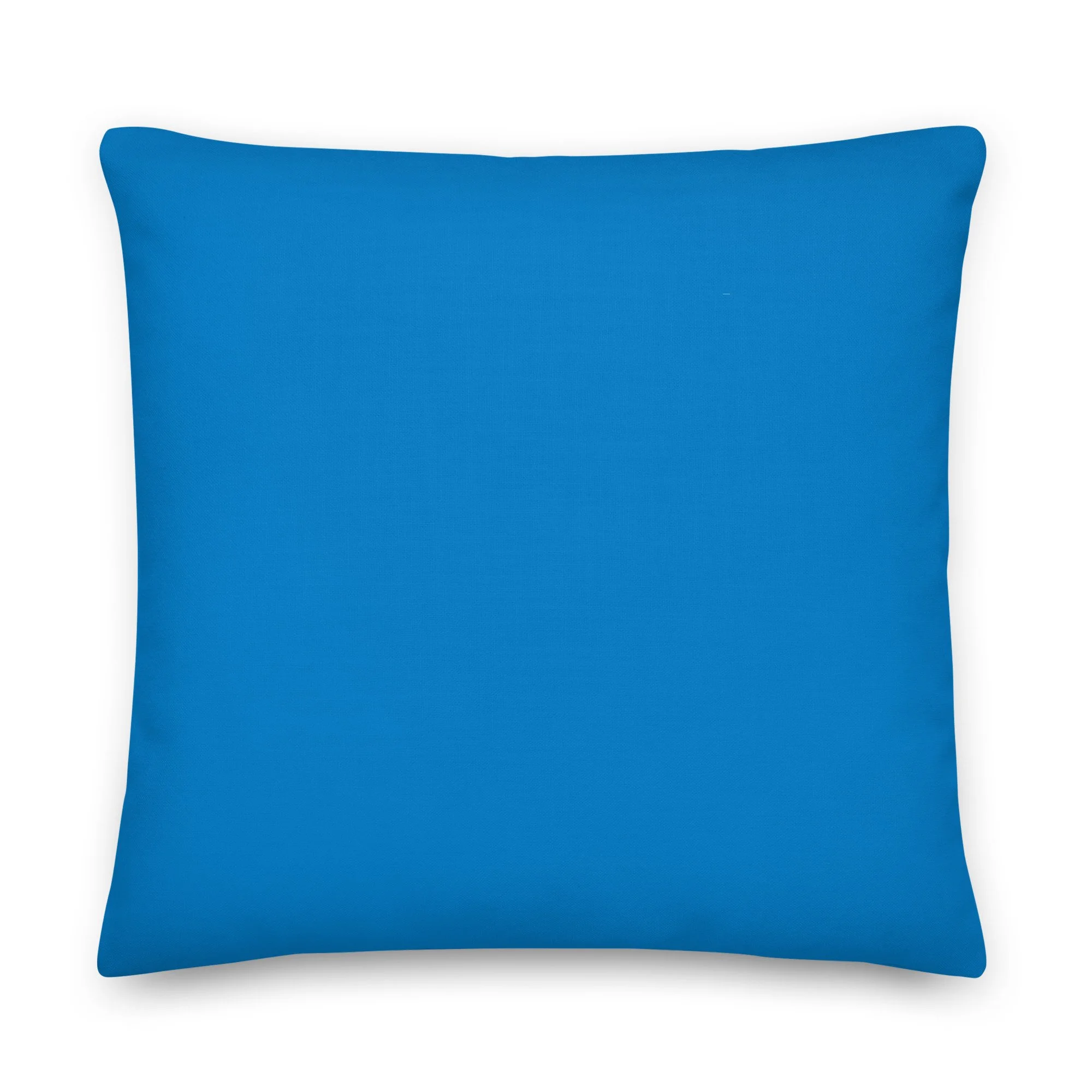 all-over-print-premium-pillow-22x22-back-63972dbb37865.jpg