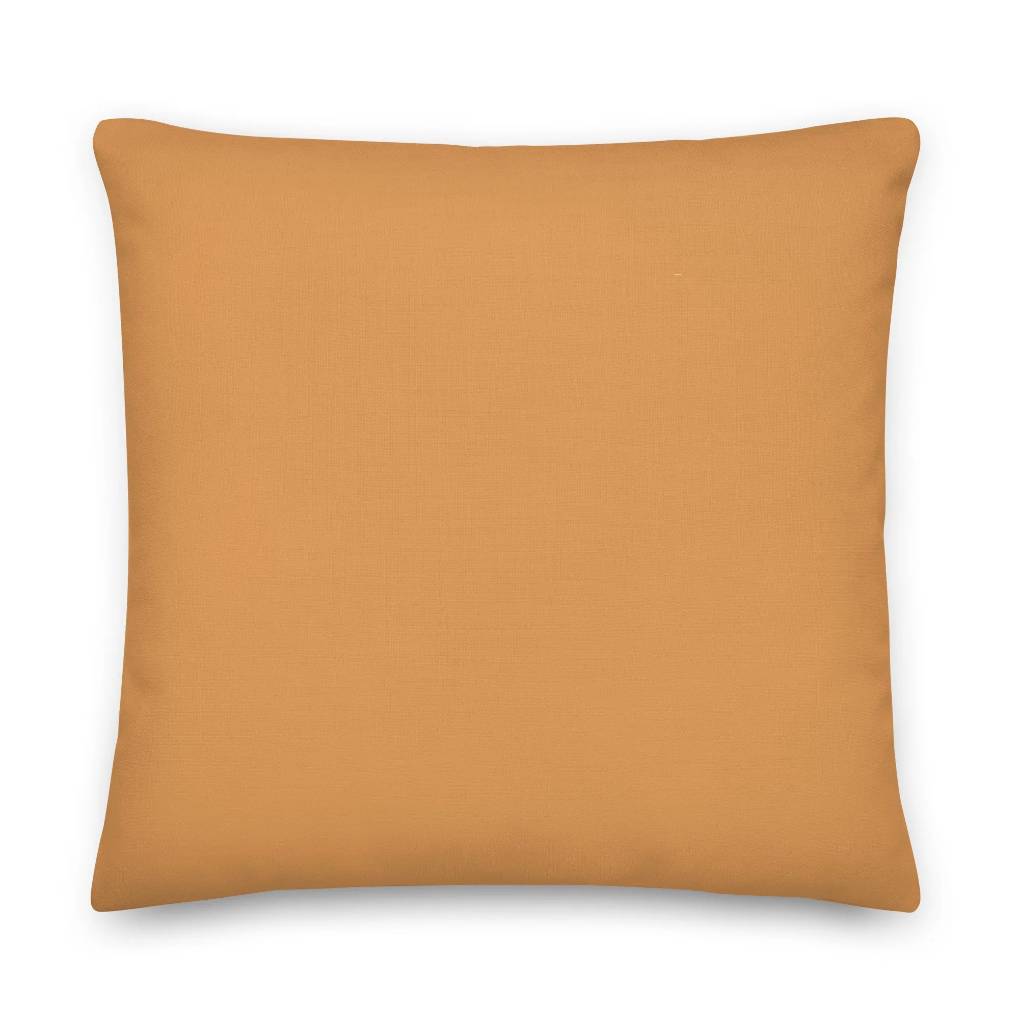 all-over-print-premium-pillow-22x22-back-63972f3e7e698.jpg