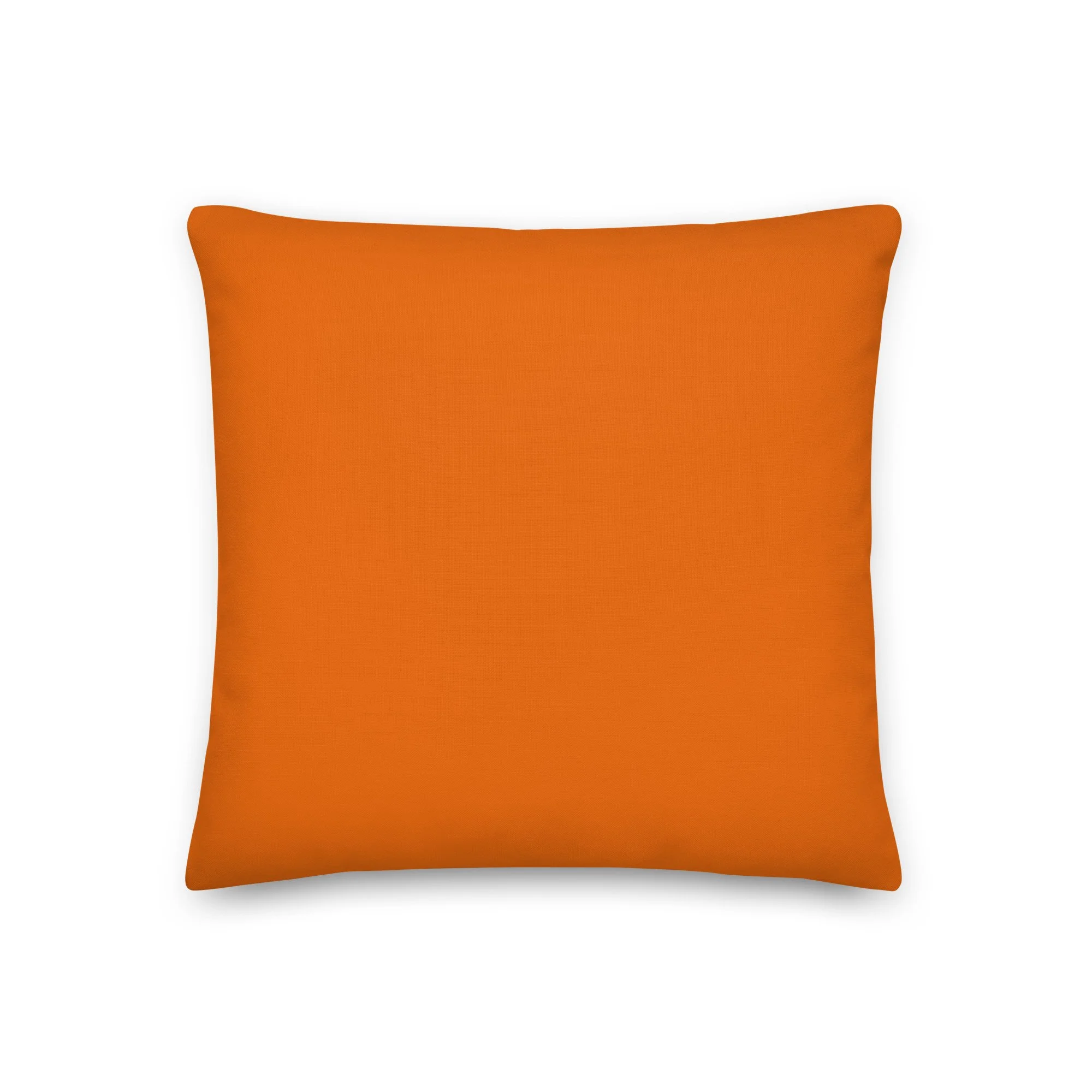 all-over-print-premium-pillow-18x18-back-63973ba2060e2.jpg