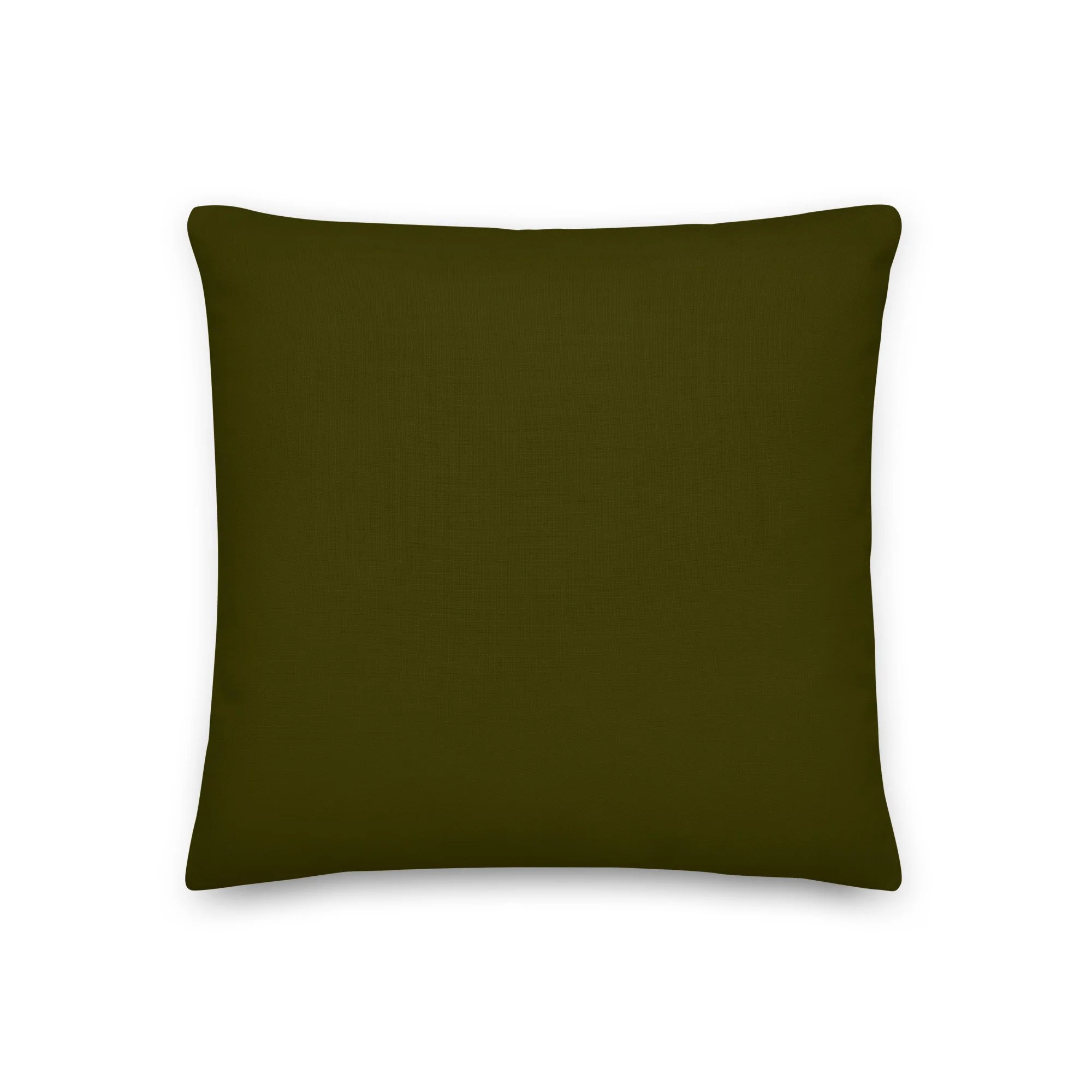 all-over-print-premium-pillow-18x18-back-643d4e896547e.jpg