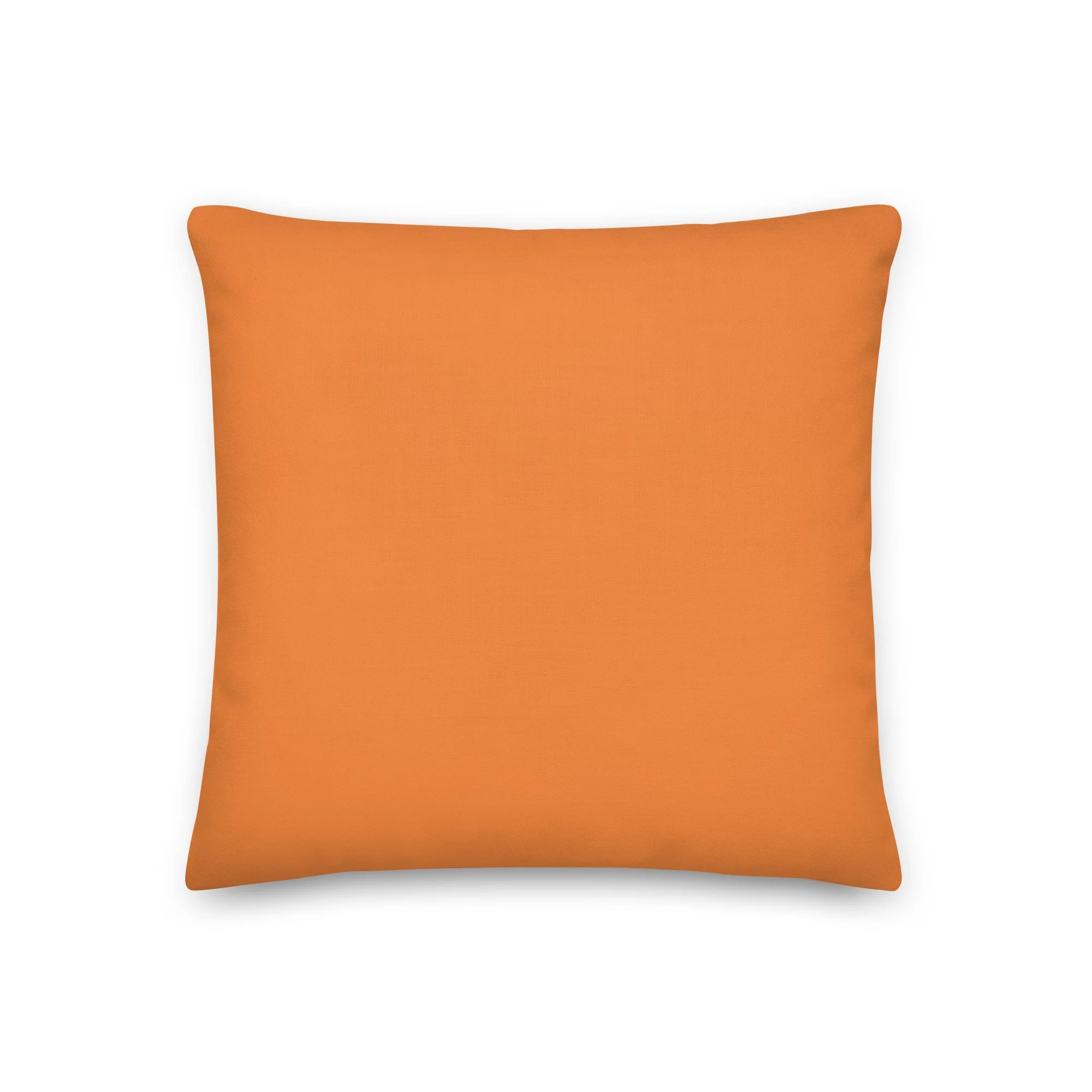 all-over-print-premium-pillow-18x18-back-672a58e46797c.jpg