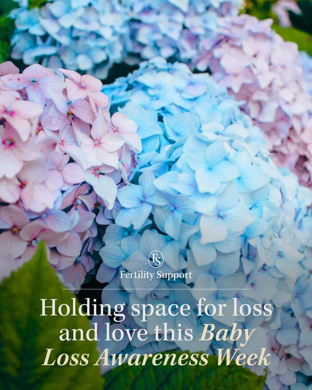 As Baby Loss Awareness Week begins, the focus is often on what has been lost. At the root of this loss is love, the same love that made it possible to imagine, to hope, to begin. Let that love be visible this week too.
Love does not end with loss; i