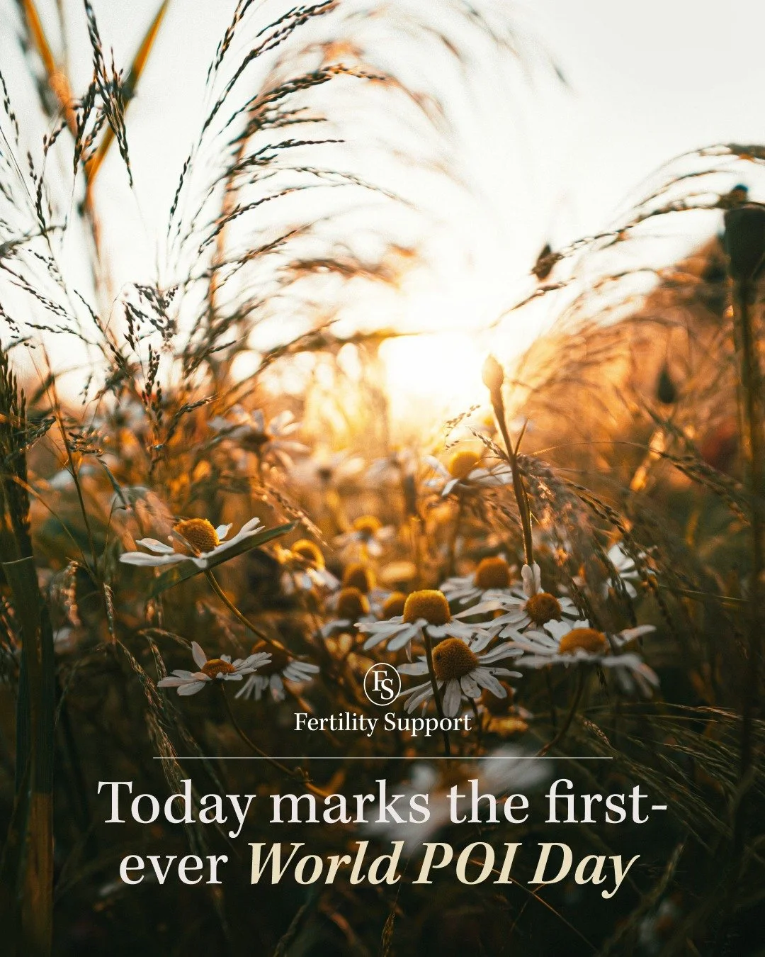 Today marks the first-ever World POI Day, a global awareness day dedicated to shining a light on Premature Ovarian Insufficiency (POI), a condition that affects around 1 in 100 women under 40.
POI, sometimes called premature menopause or premature o