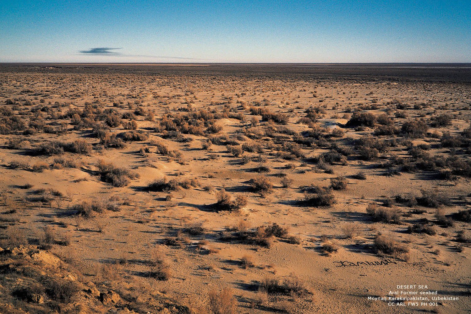 Saodat Aral 3.jpg