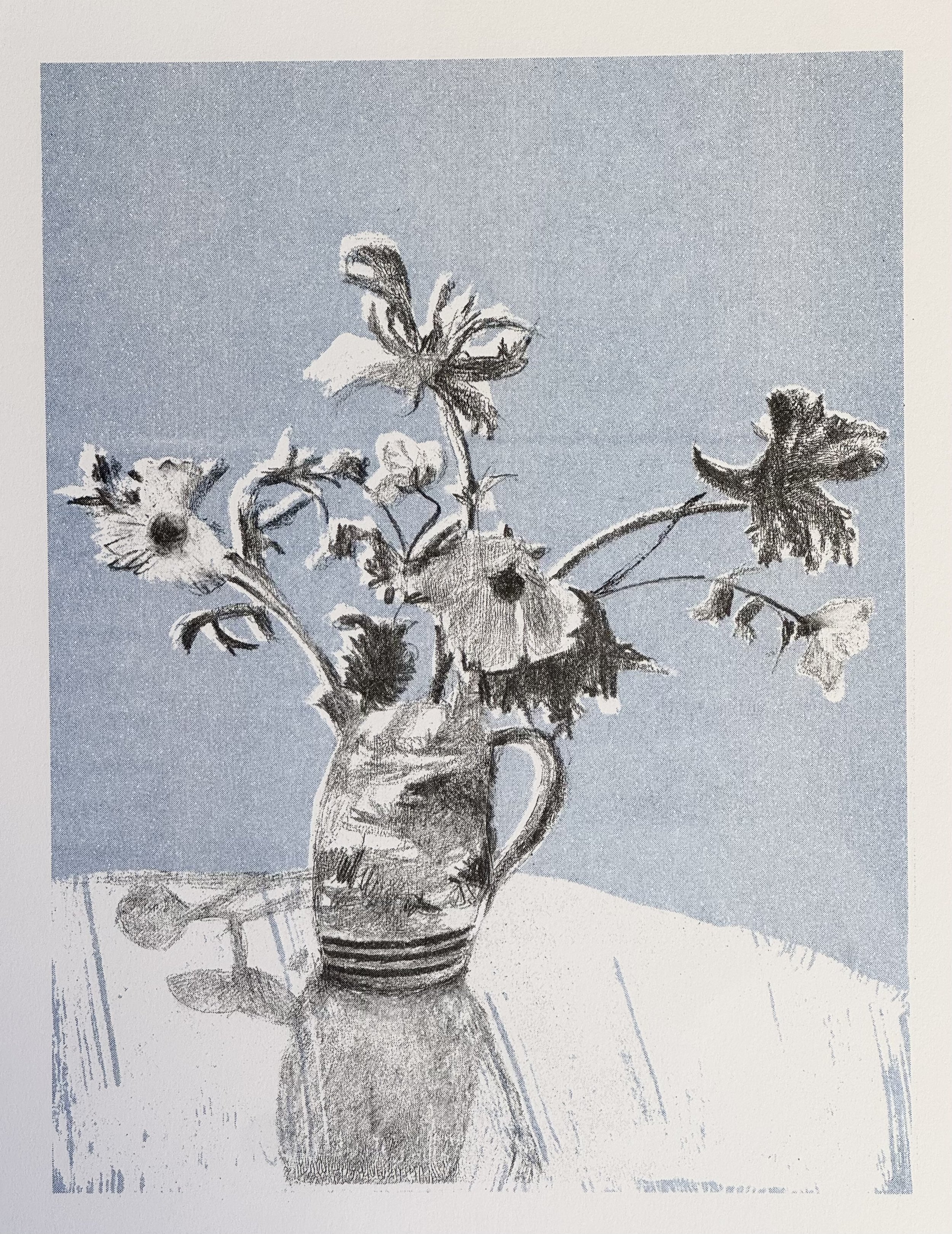 Butterfly ranunclius blue