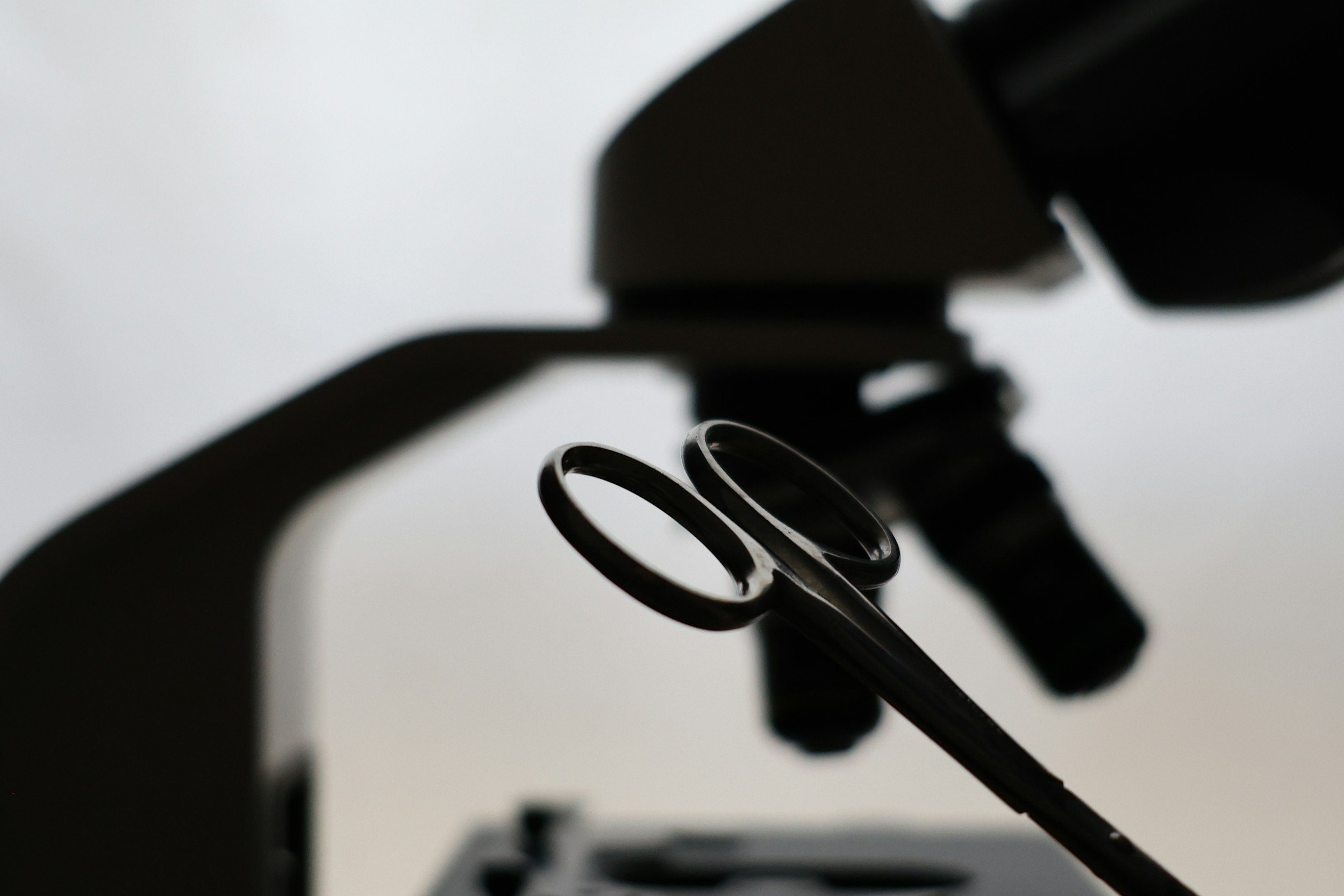 Placenta Power: Cutting the Umbilical Cord