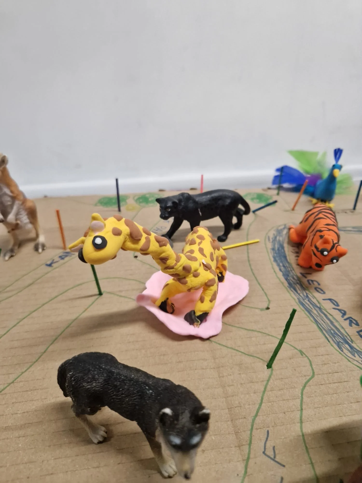 WhatsApp Image 2025-11-19 at 19.02.21.jpeg