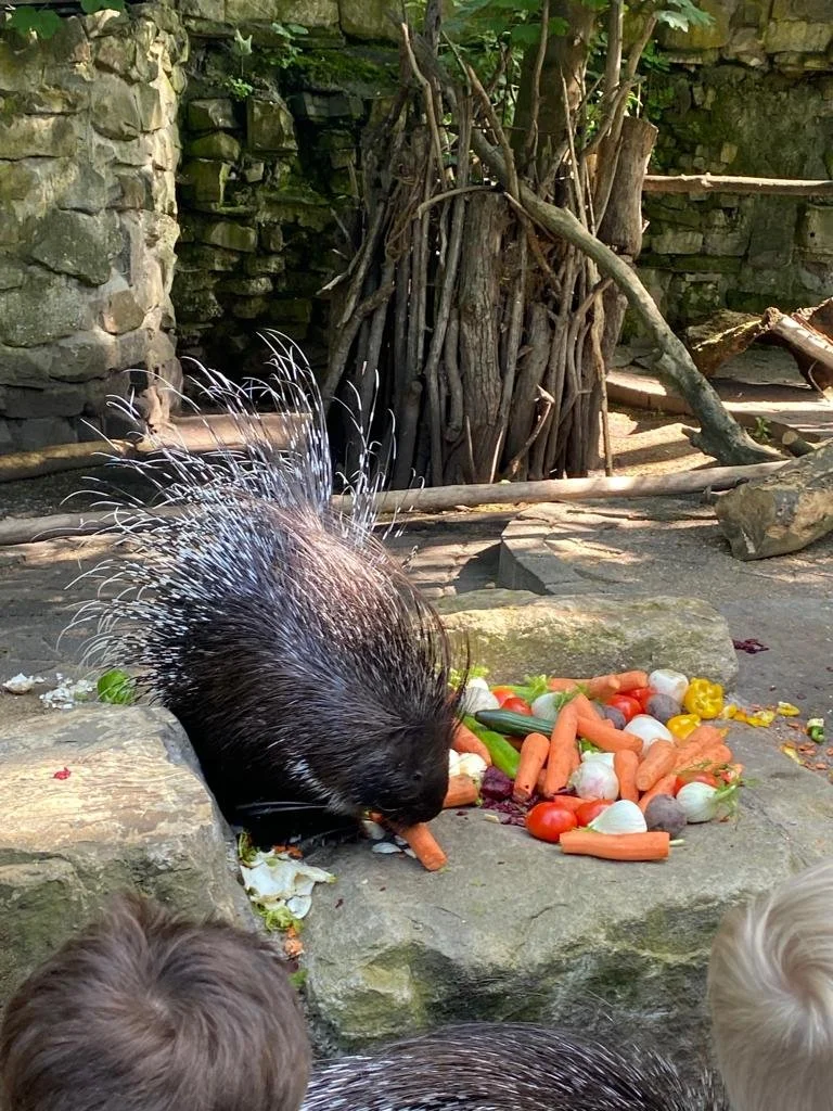 Ausflug in den Tierpark Hamm