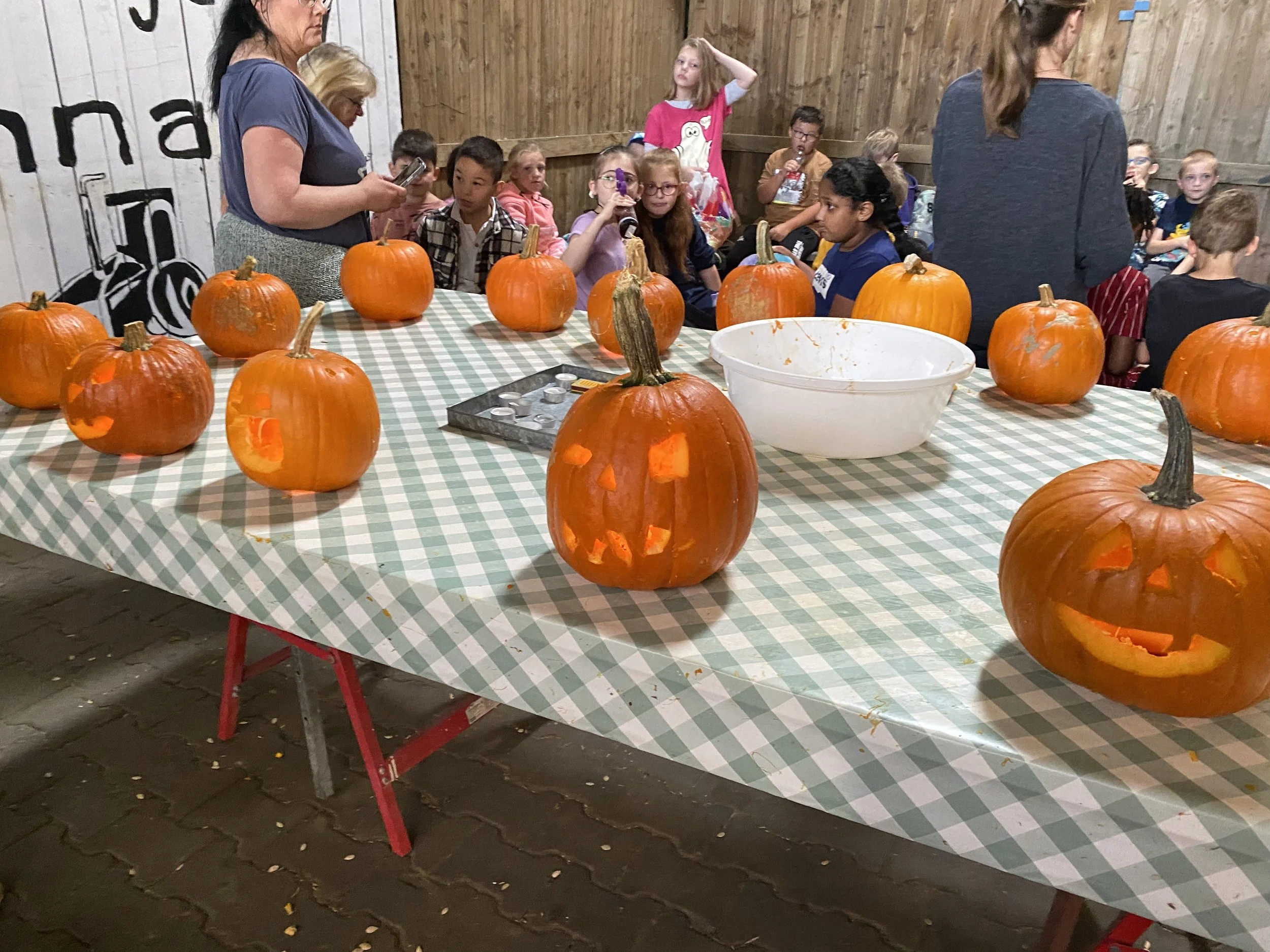 Ausflug des Jahrgangs 3E zum Kürbishof
