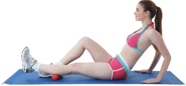 calf-600x279.jpg