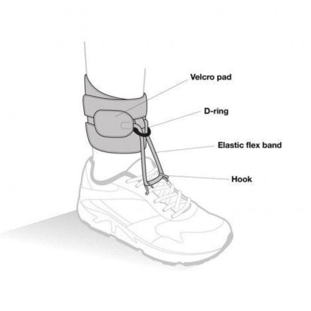 DICTUS-Flex---Medium--002.png