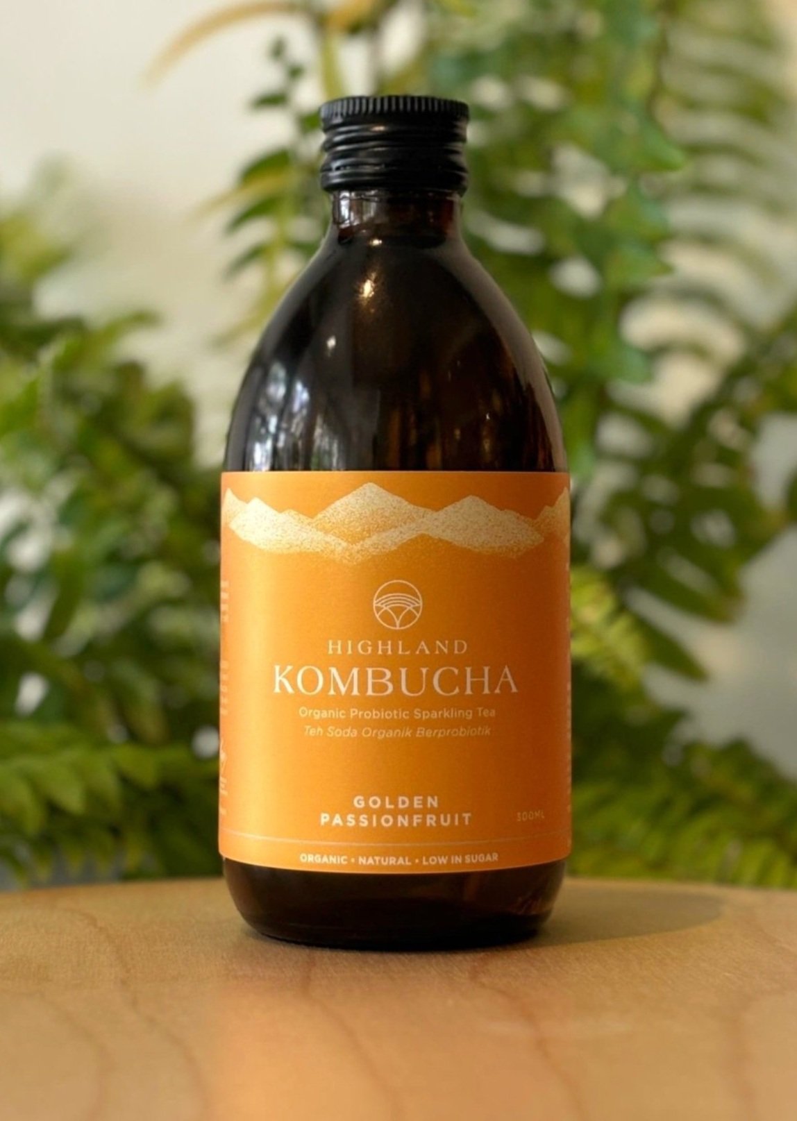 best Kombucha KL Kuala lumpur malaysia 13