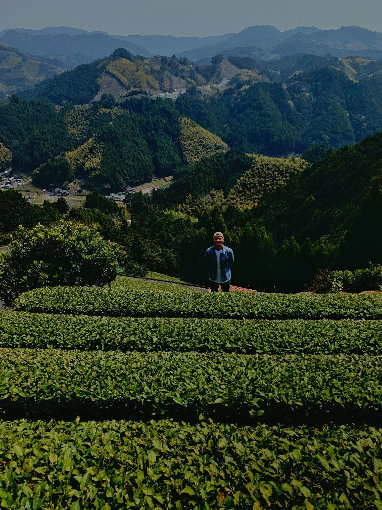 best Kombucha KL Kuala lumpur malaysia 18