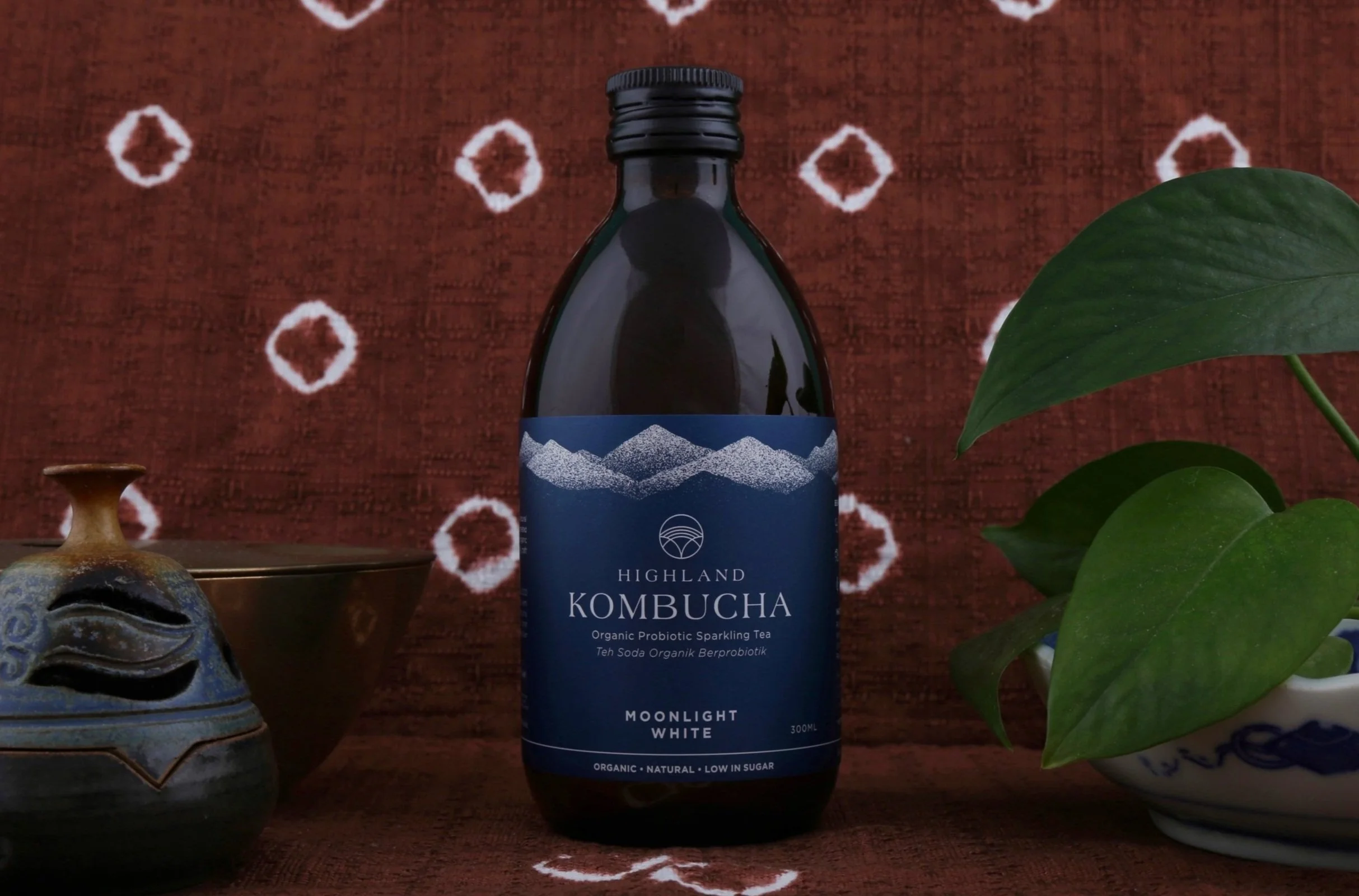 best Kombucha KL Kuala lumpur malaysia