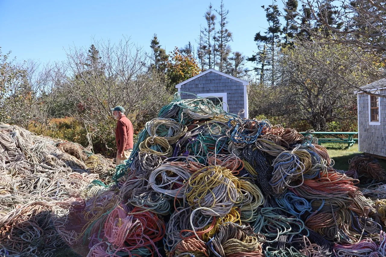 All That Rope