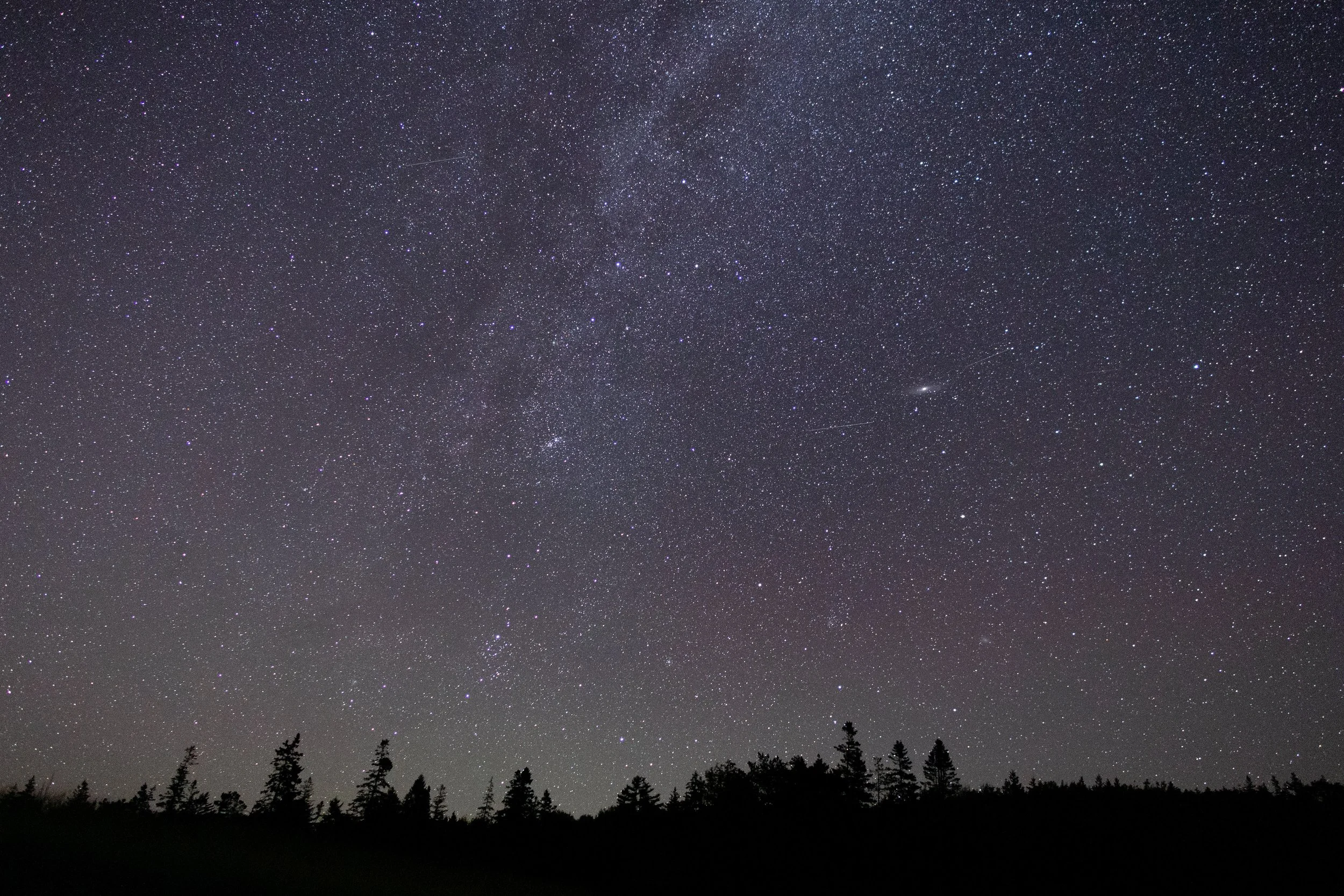 Star Party