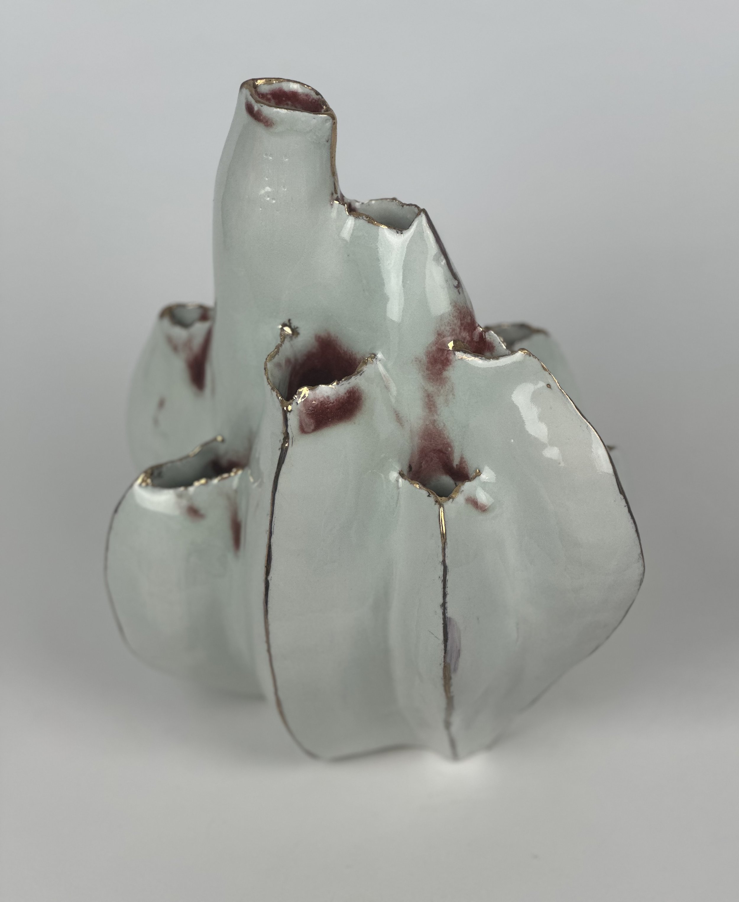 Biomorphic Sculptures