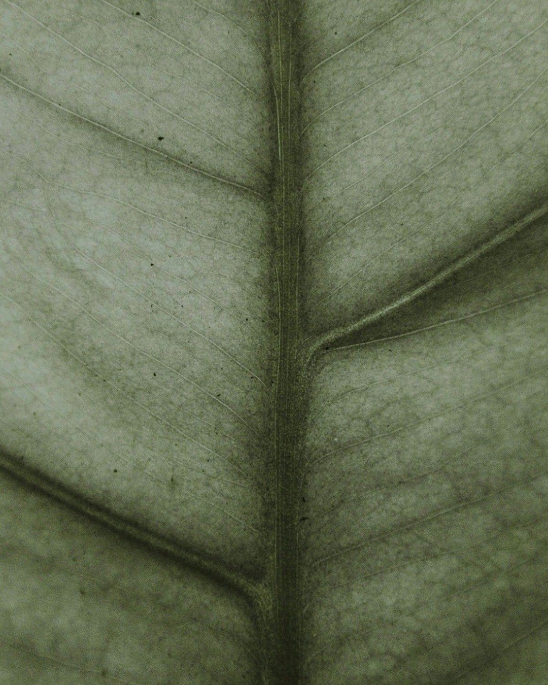 From conscious material sourcing to using water-based finishing lacquers, every stage of our furniture design and manufacturing process is carefully considered against its environmental impact.

#opusmagnum