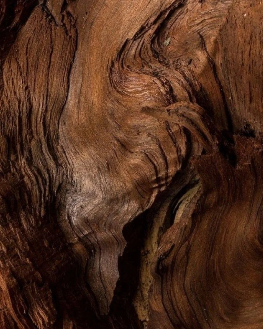 Walnut is a premium furniture wood, known for its deep chocolate-brown heartwood and refined grain. It works cleanly with hand and power tools, allowing crisp details and smooth finishes on sculpted and curved forms. Ideal for high-end furniture, ven