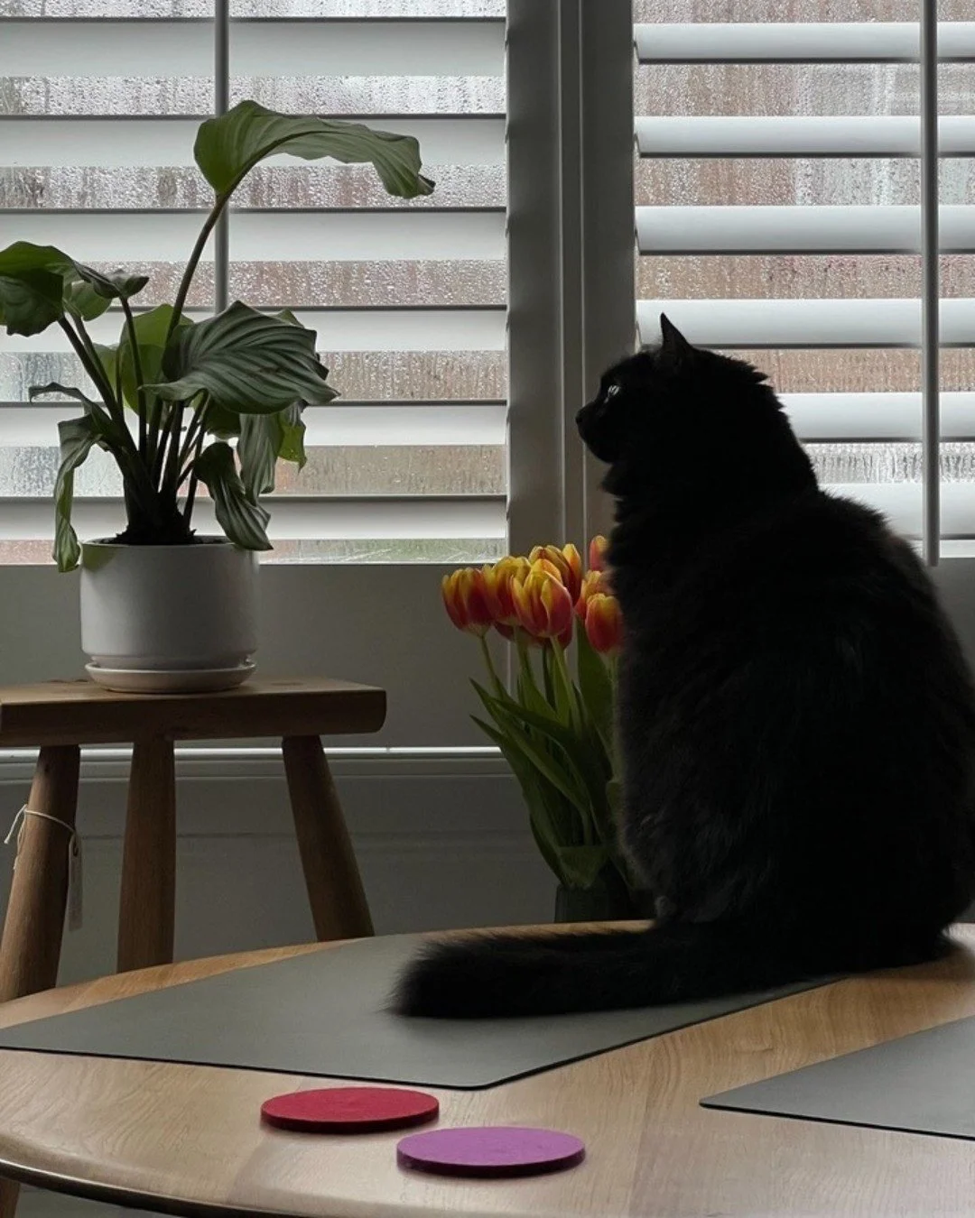 Stool Life | A glimpse into the new homes of our latest creations. These beautiful shots were captured by the talented teams at @Skidmore, @Owings, and Merrill following our &lsquo;Meet &amp; Make&rsquo; workshop earlier this year.

#OpusMagnum #Meet