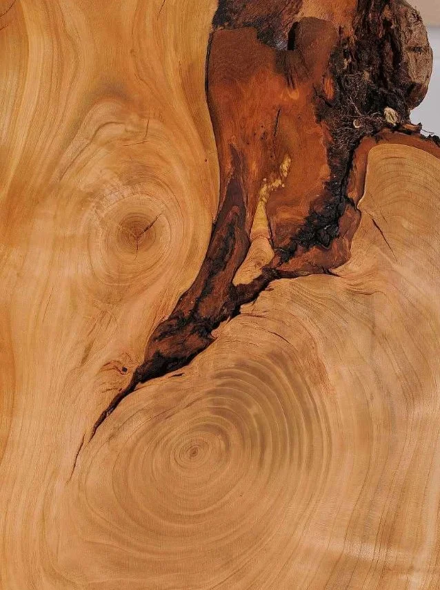 Cherry is a standout hardwood. Beyond its fine texture and a reddish-brown patina that only gets better with age, it&rsquo;s a powerhouse of sustainability.

✨ Fast Regeneration: Growing about 60 to 120cm per year, it takes only seconds for a well-ma