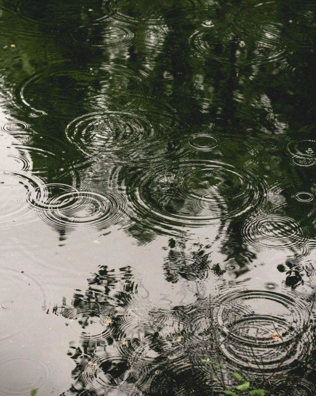 Opus Magnum are proud members of FISP, a programme designed to drive sustainability in the furniture supply chain.

FISP is an independently certified sustainability programme created to tailor to the needs of the Furniture Industry supply chain.

#o