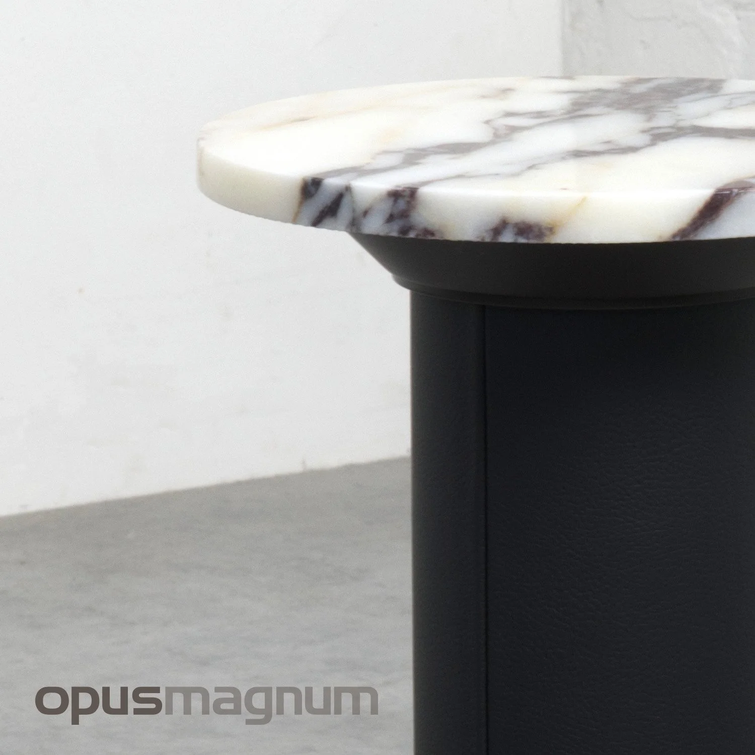 Fundraiser Main images- Opus.jpg