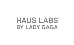 haus labs_logo_grey.png