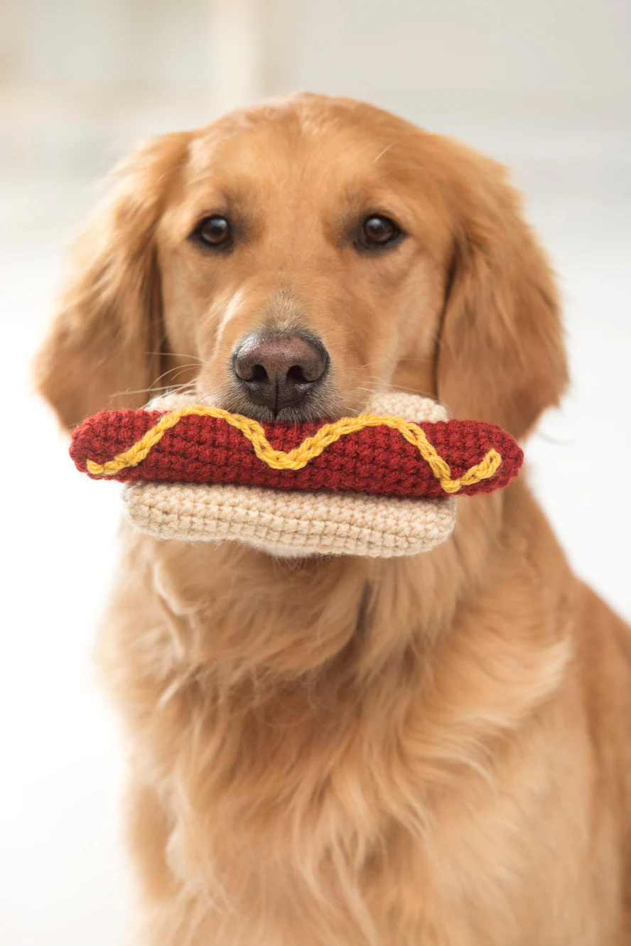 Lion Brand Yarn
