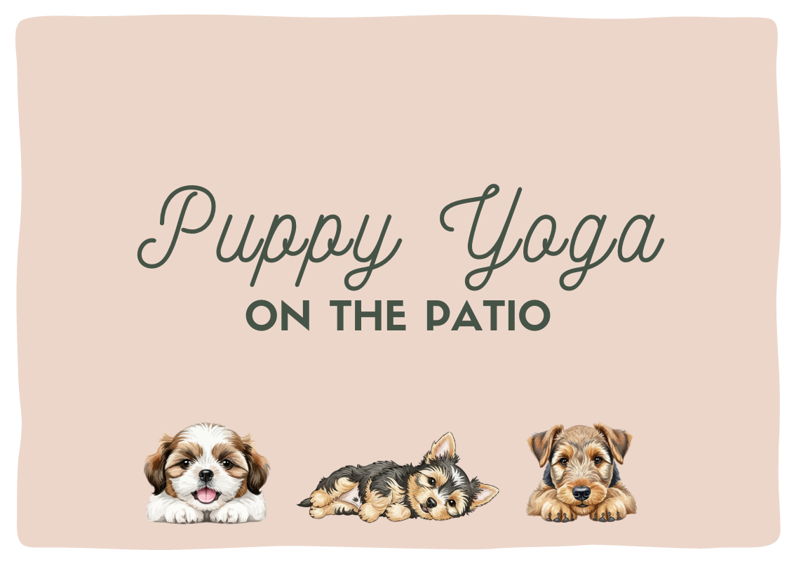Puppy Yoga with SunState