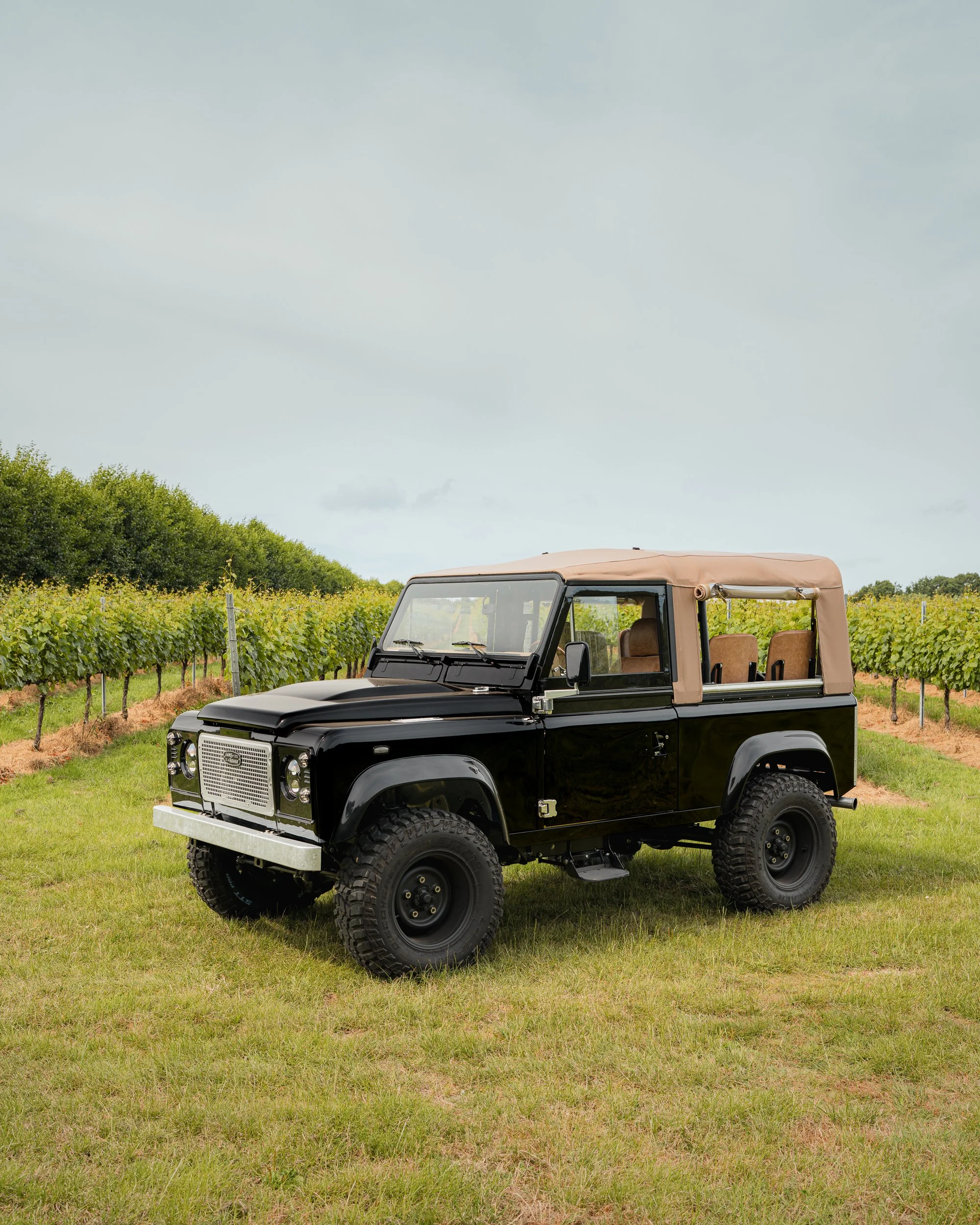 A black vintage off-road vehicle with a tan soft top parked on grass in a vineyard.