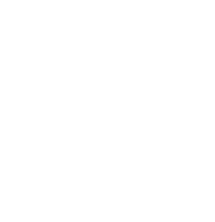 SVD Group Logo
