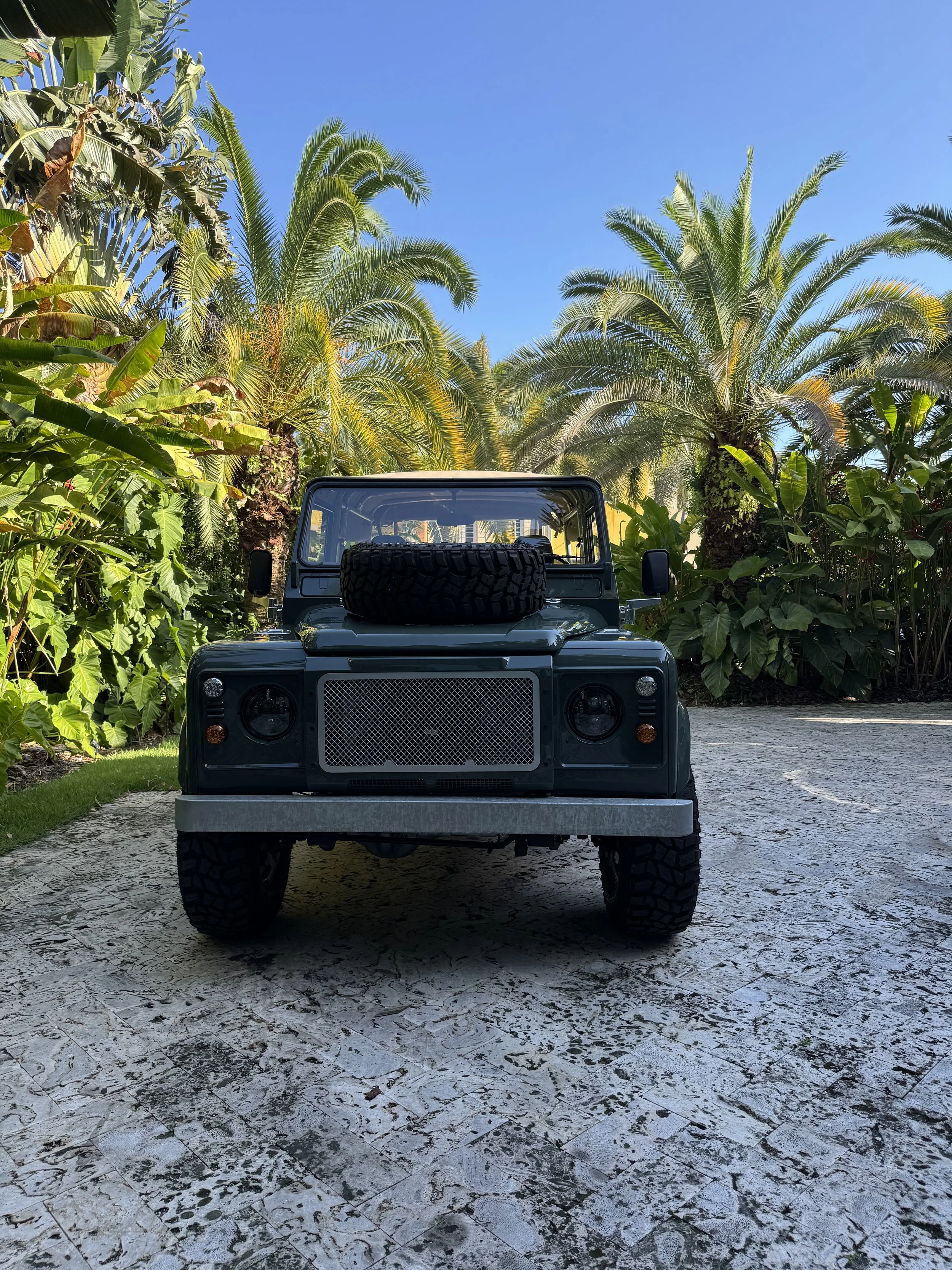Front view of a dark green off-road vehicle parked on a stone driveway, surrounded by tropical plants and palm trees under a clear blue sky.