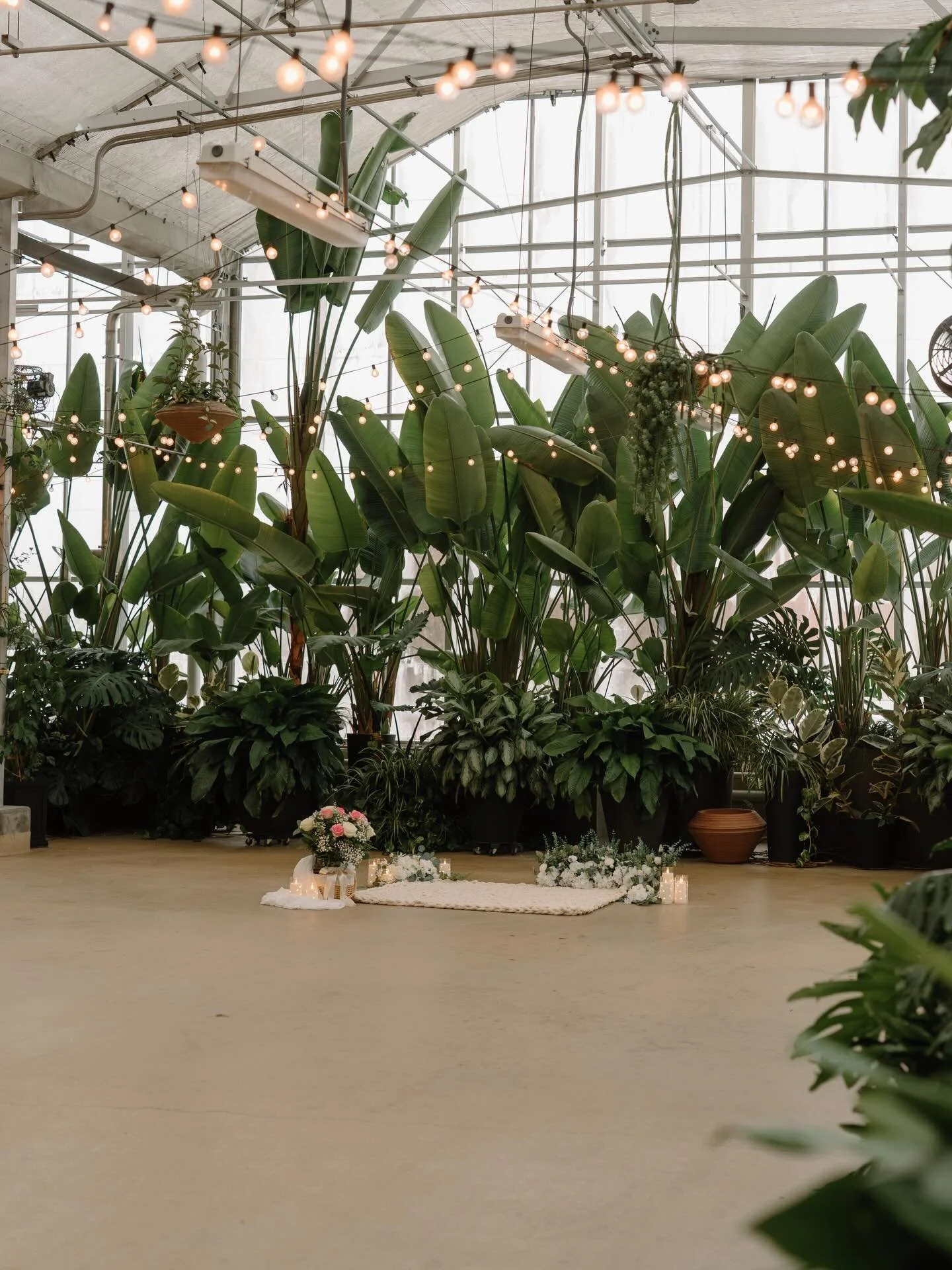 Nothing like the sweet and fleeting moments of a proposal🥹🤍 

#michiganweddingphotographer #detroitweddingphotographer #grandrapidsweddingphotographer #ohioweddingphotographer #toledoweddingphotographer