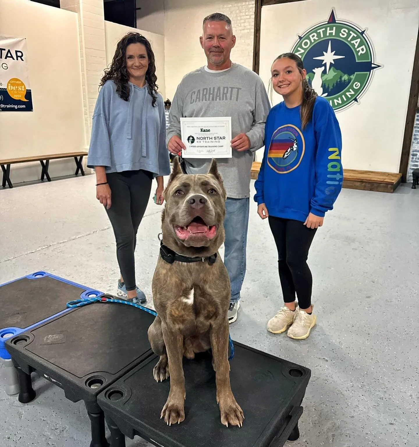 Kane has successfully completed his two week Adventure Camp Program! 🎓🐾 He was so proud to show his family all the new skills he mastered. Kane was an absolute joy to work with and is truly the loveliest boy ever. Watching him grow and learn has be