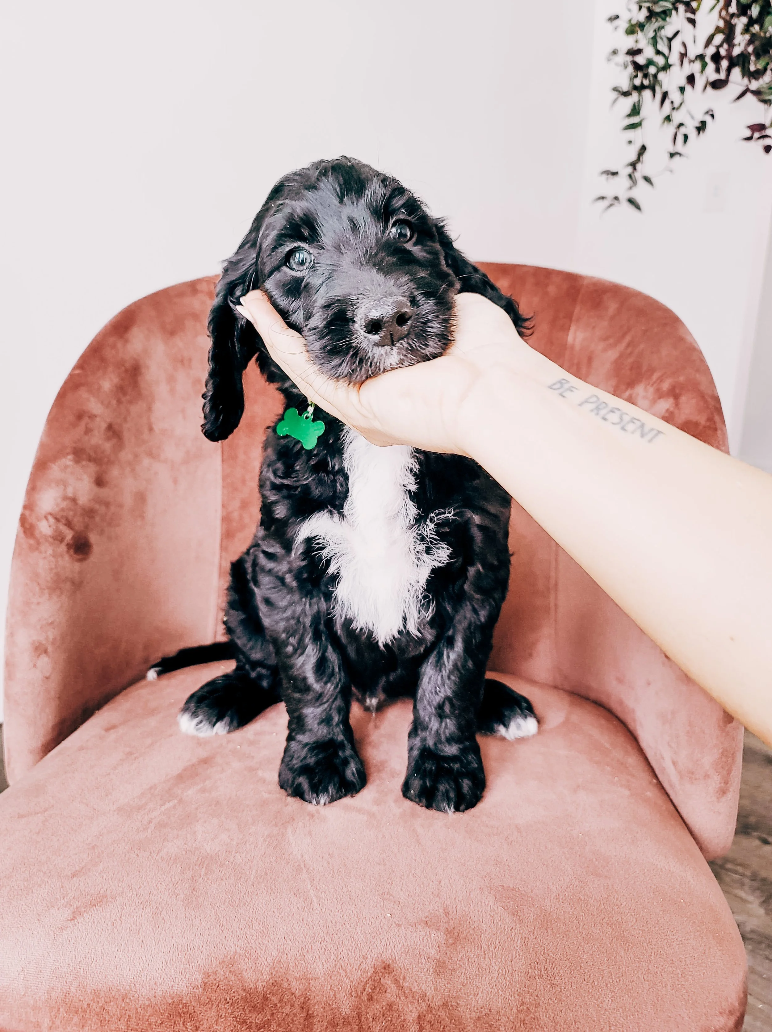 IMG_0544.JPG
