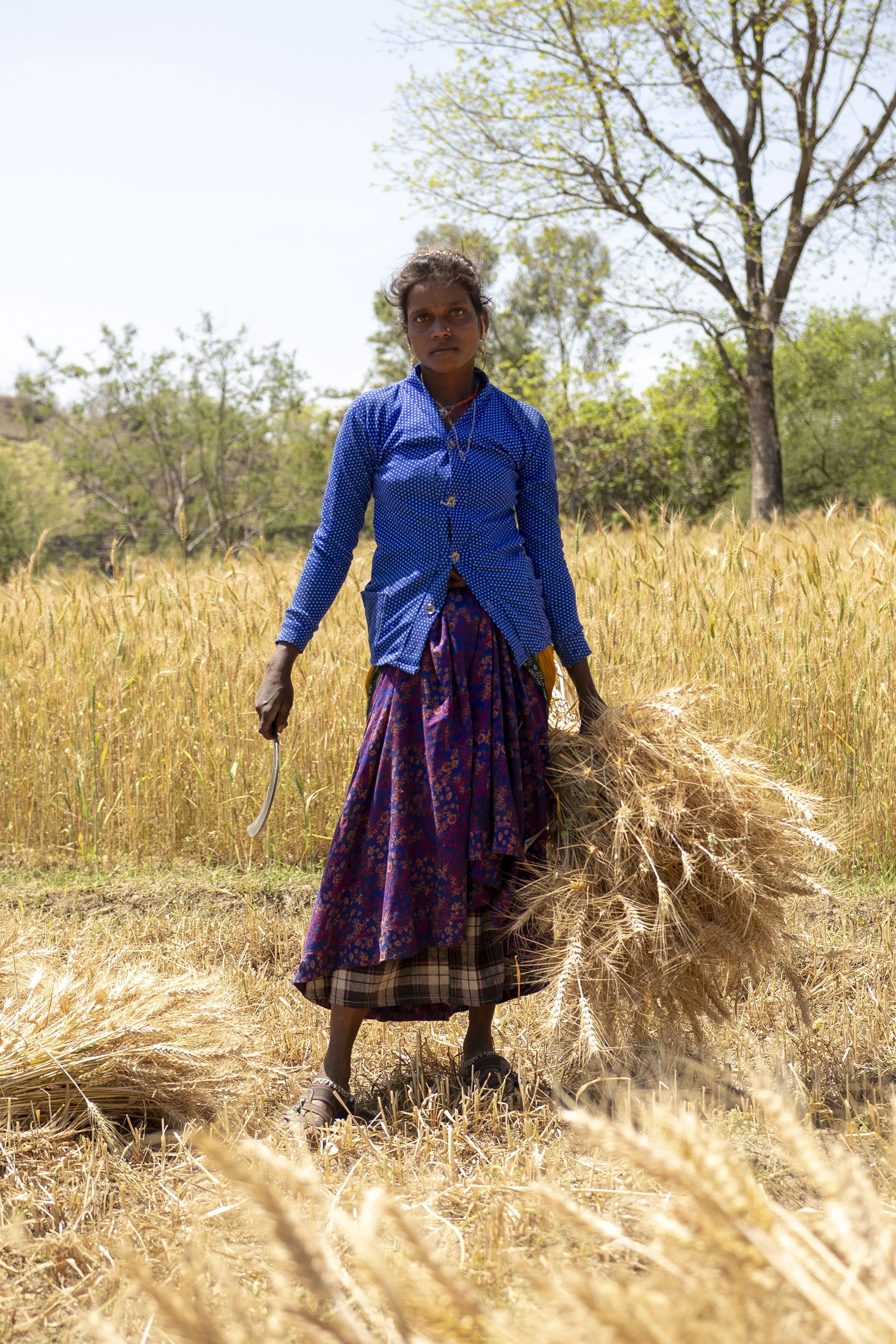 AB_WHEAT_FILED__0155.JPG