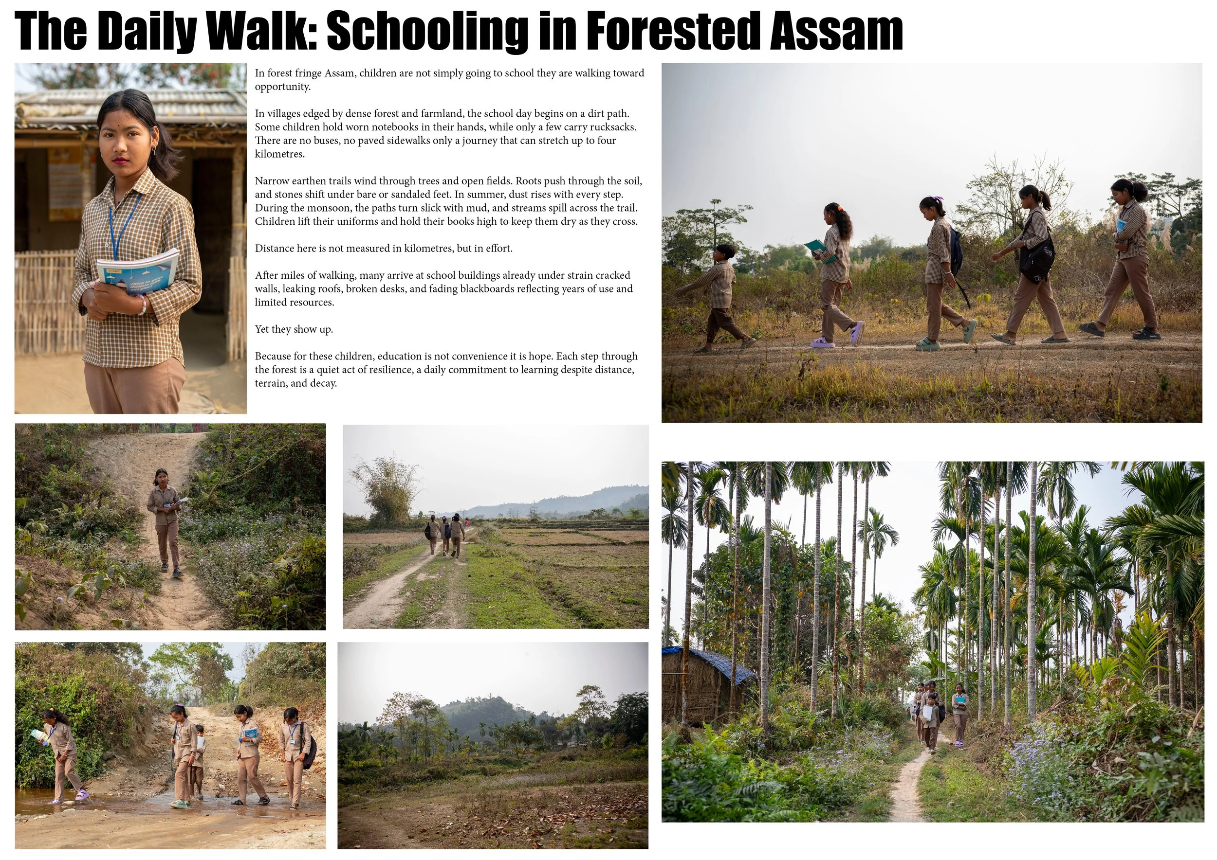 The Daily Walk- Schooling in Forested Assam.jpg