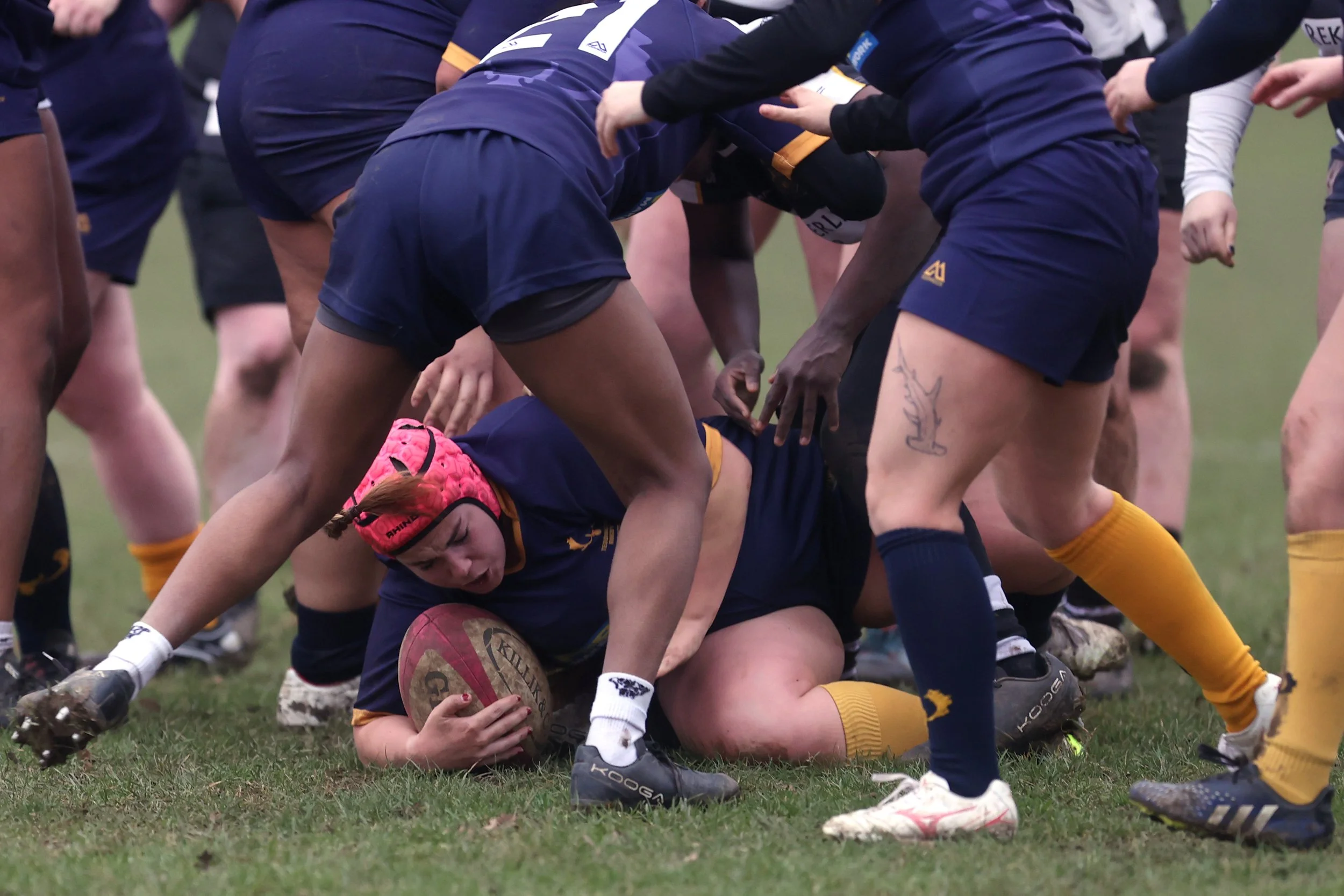 Women rugby players in a scrum on a grassy field during a game, wearing navy blue and yellow uniforms, with one player on the ground holding the rugby ball.
