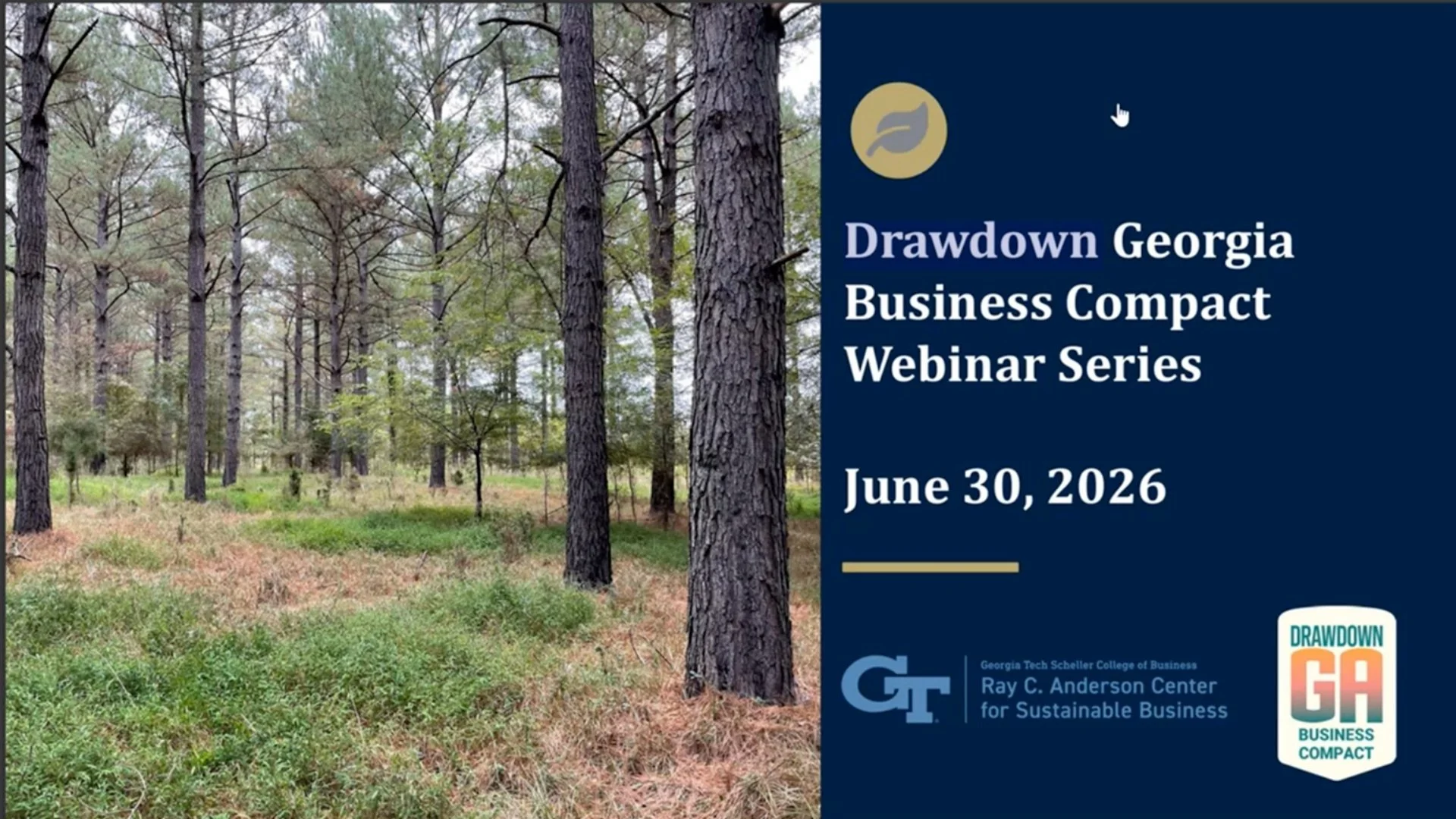 Georgia Carbon Exchange – Forest Pilot Project Webinar