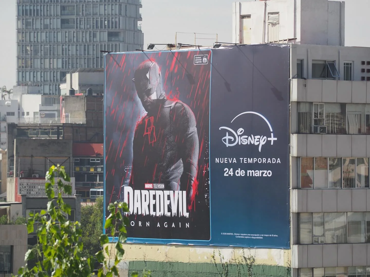 Roma Norte! (Badasses and buses)&hellip;