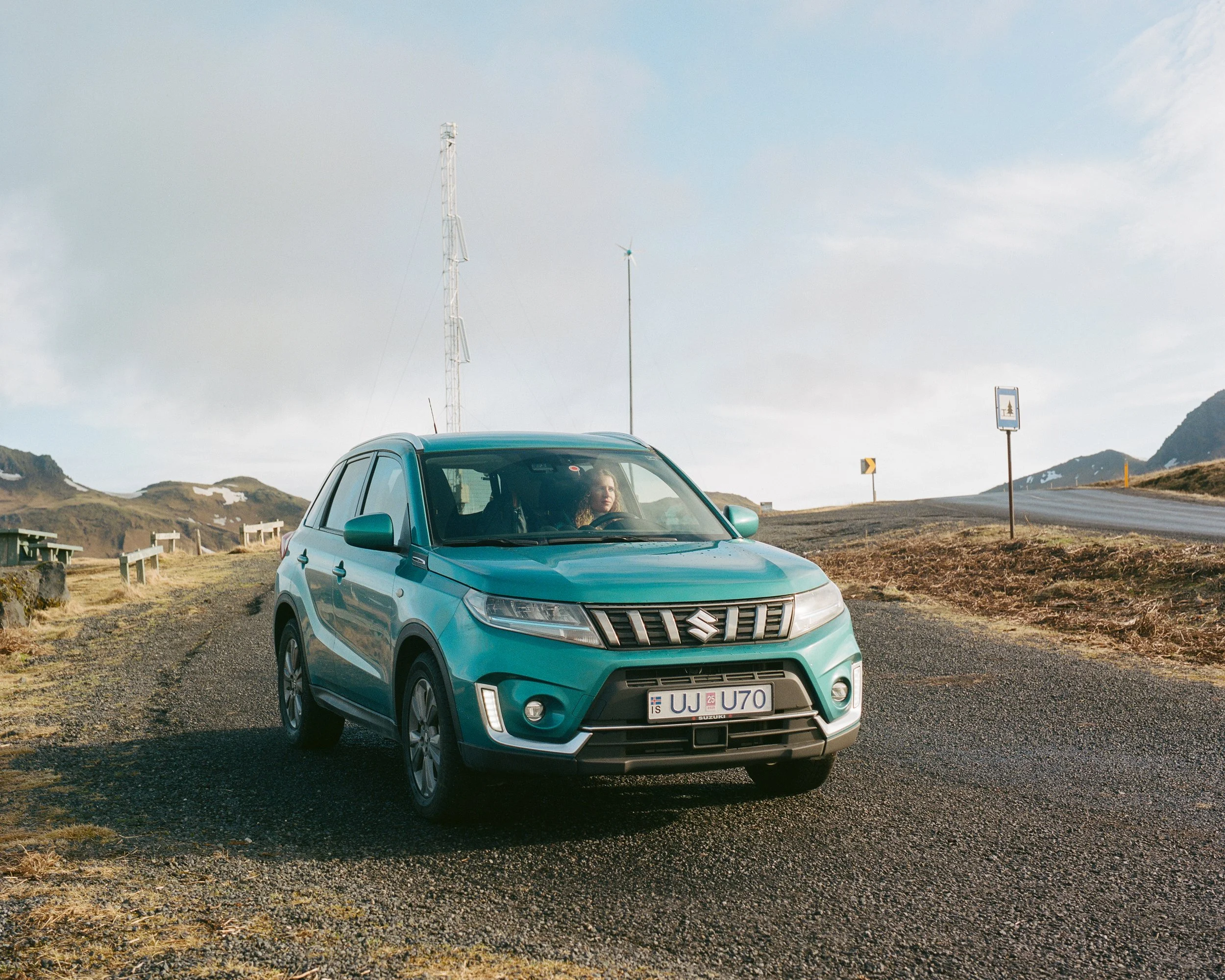 Horses on side of road to mountains-48.jpg