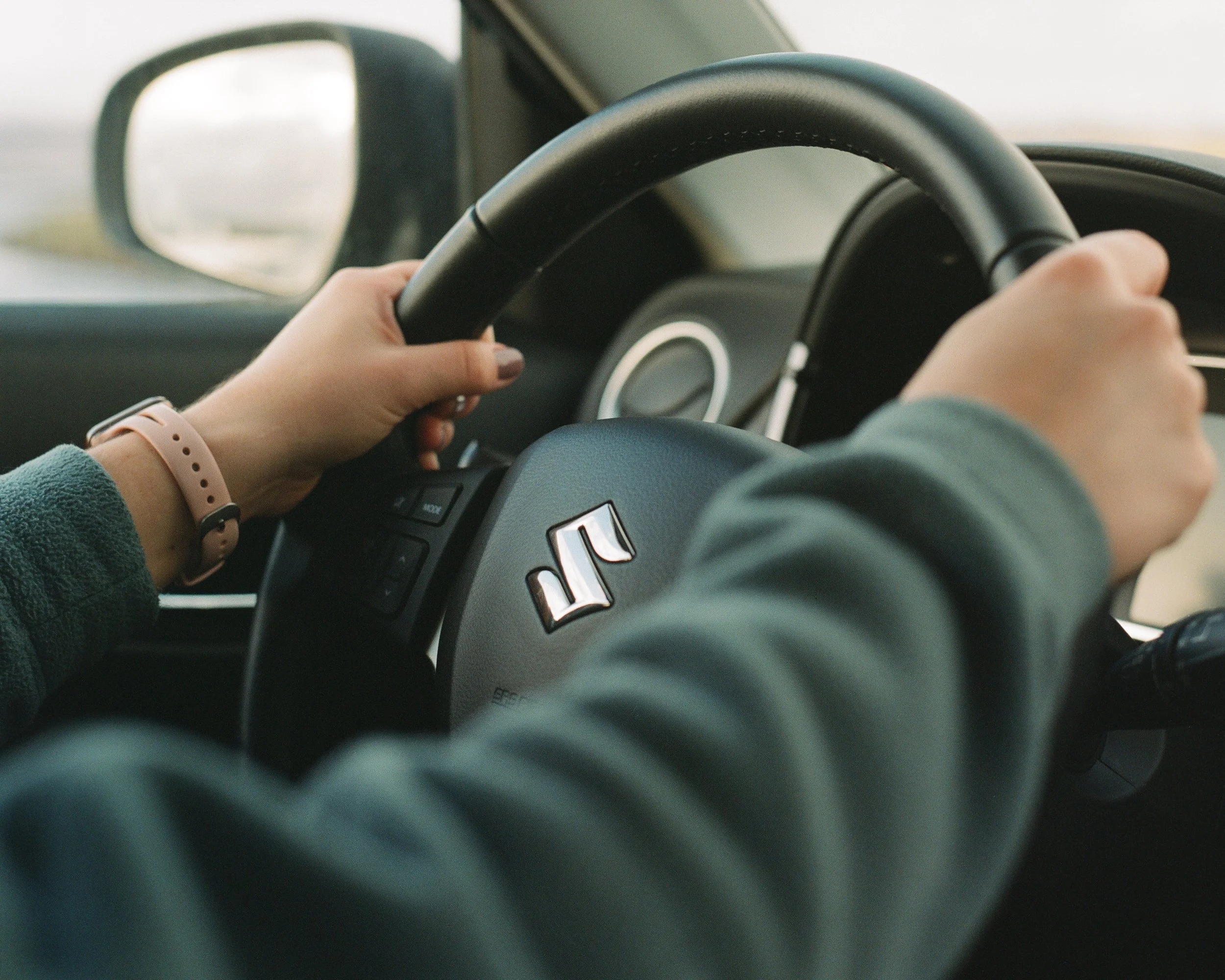 Horses on side of road to mountains-9.jpg