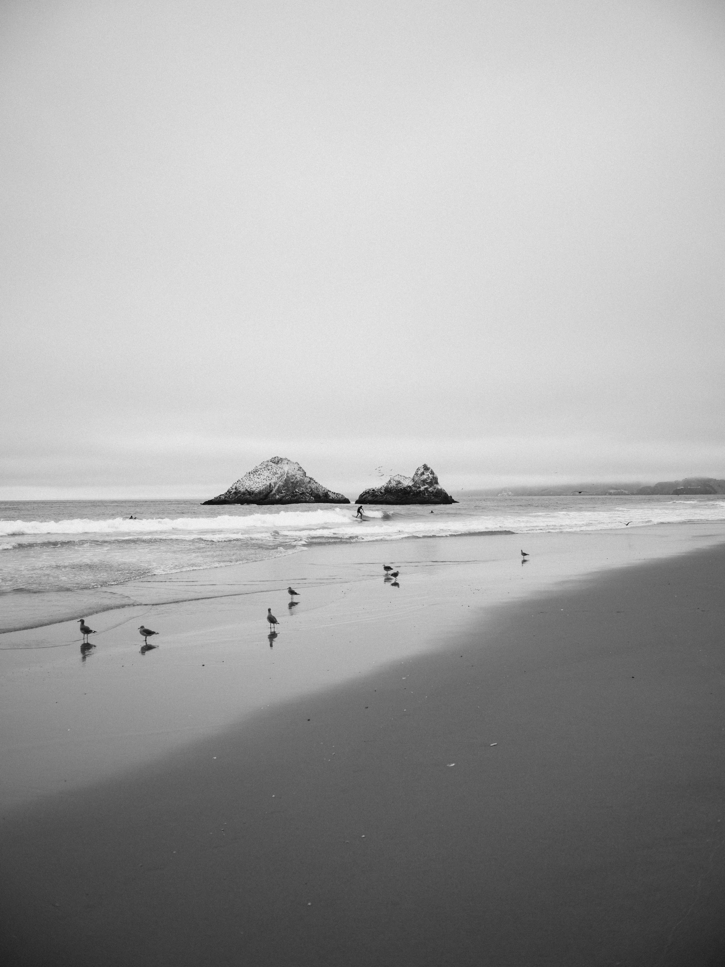 Brianna with Patinete-25.jpg