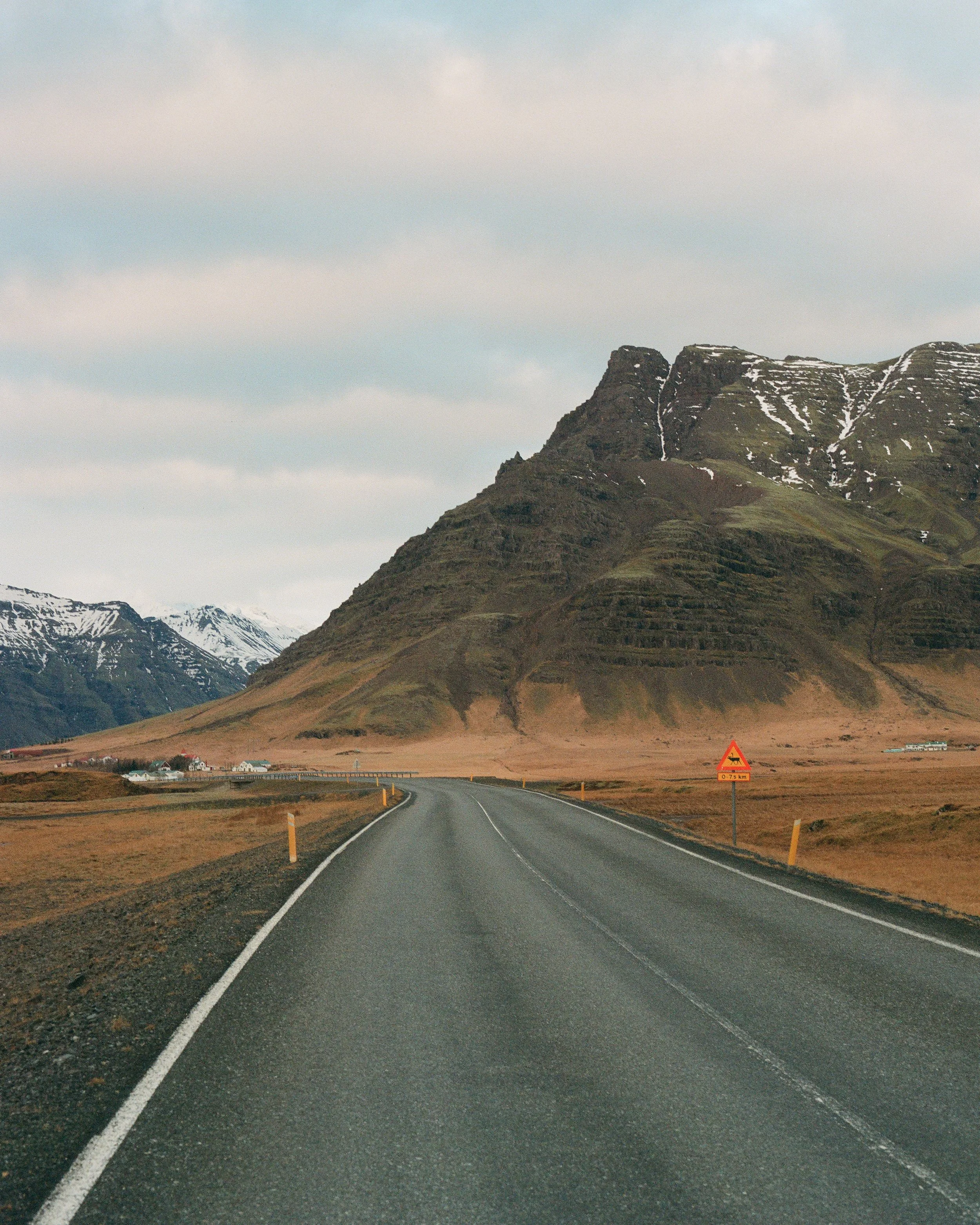 Horses on side of road to mountains-14.jpg