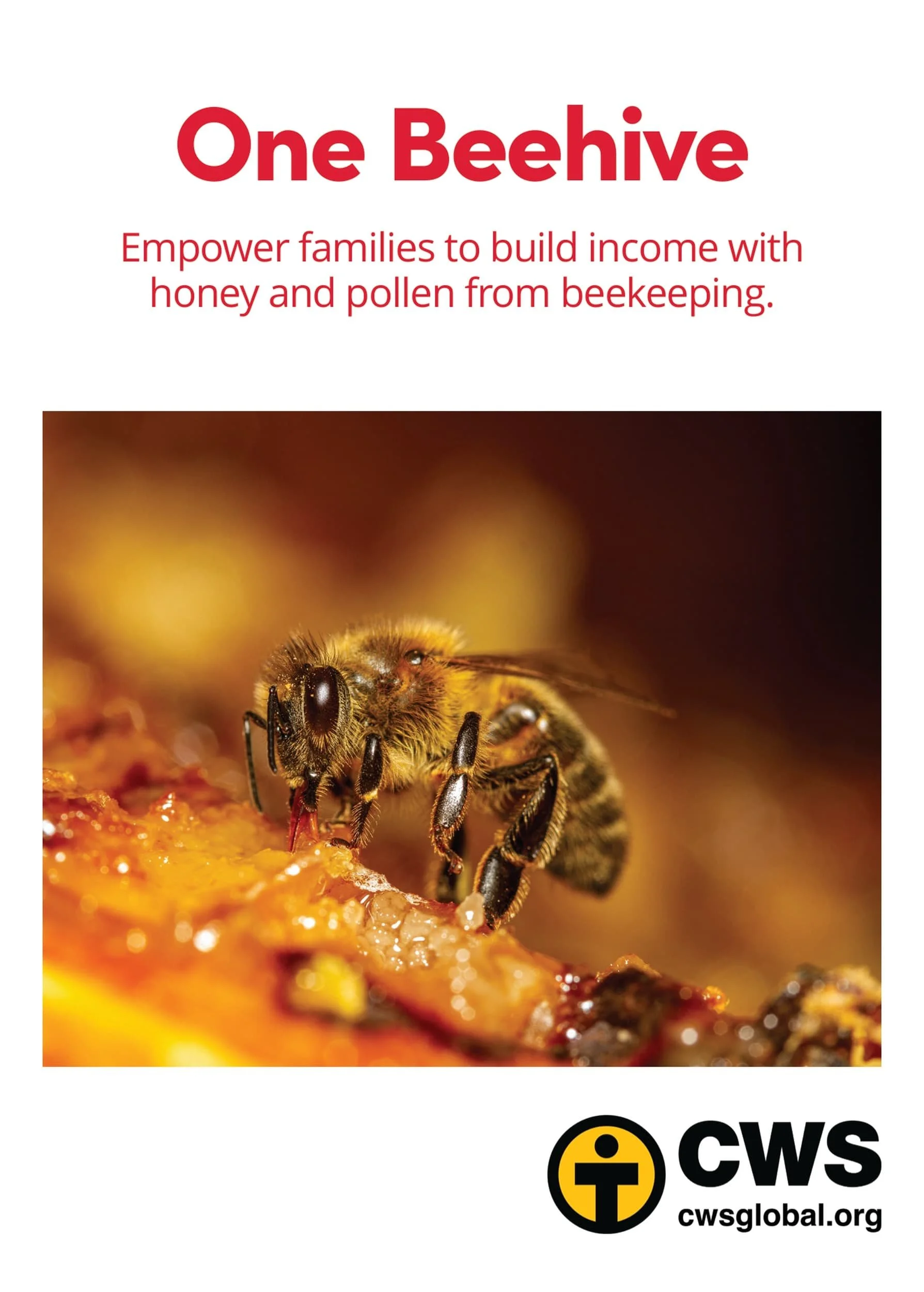 001_church_world_service_one_beehive.jpg