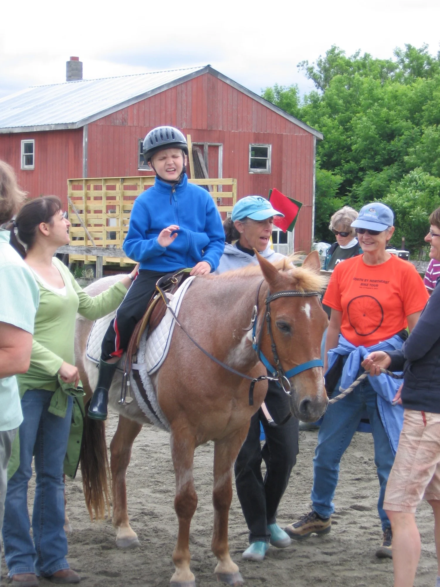 About Us — High Horses