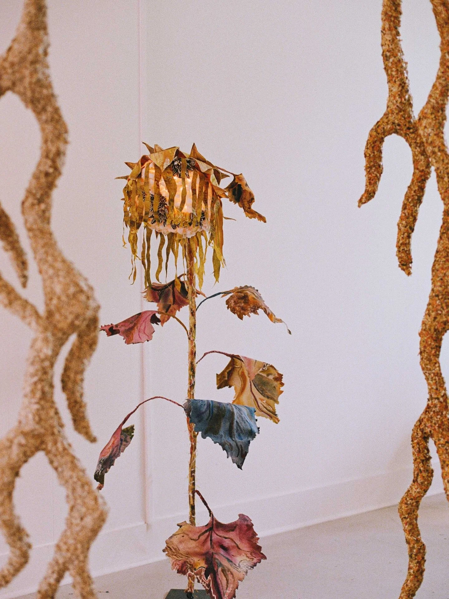 Nectar opens tomorrow at 8pm. It&rsquo;s even better in person 

RSVP link in our story 🌾